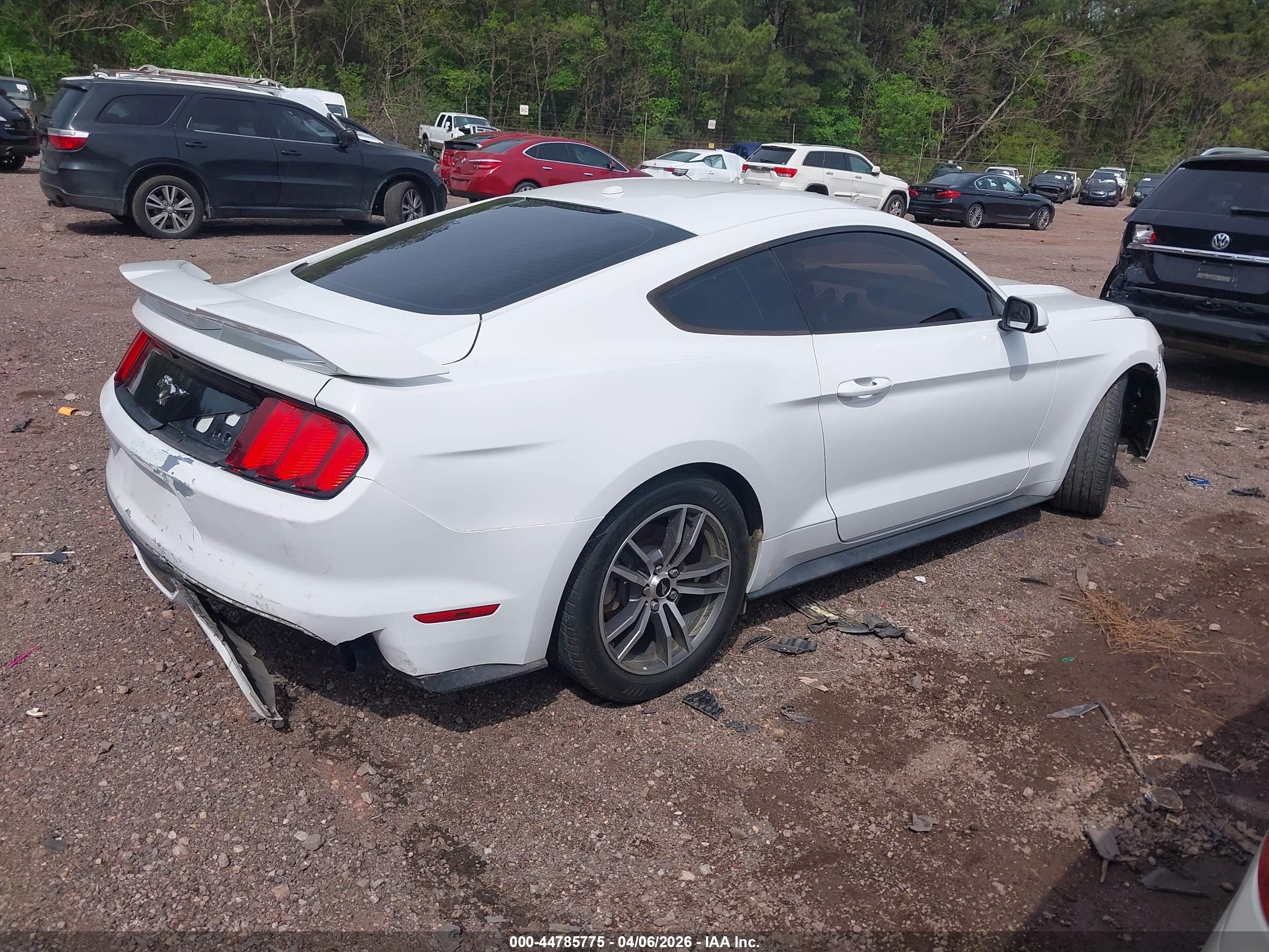FORD MUSTANG image 4