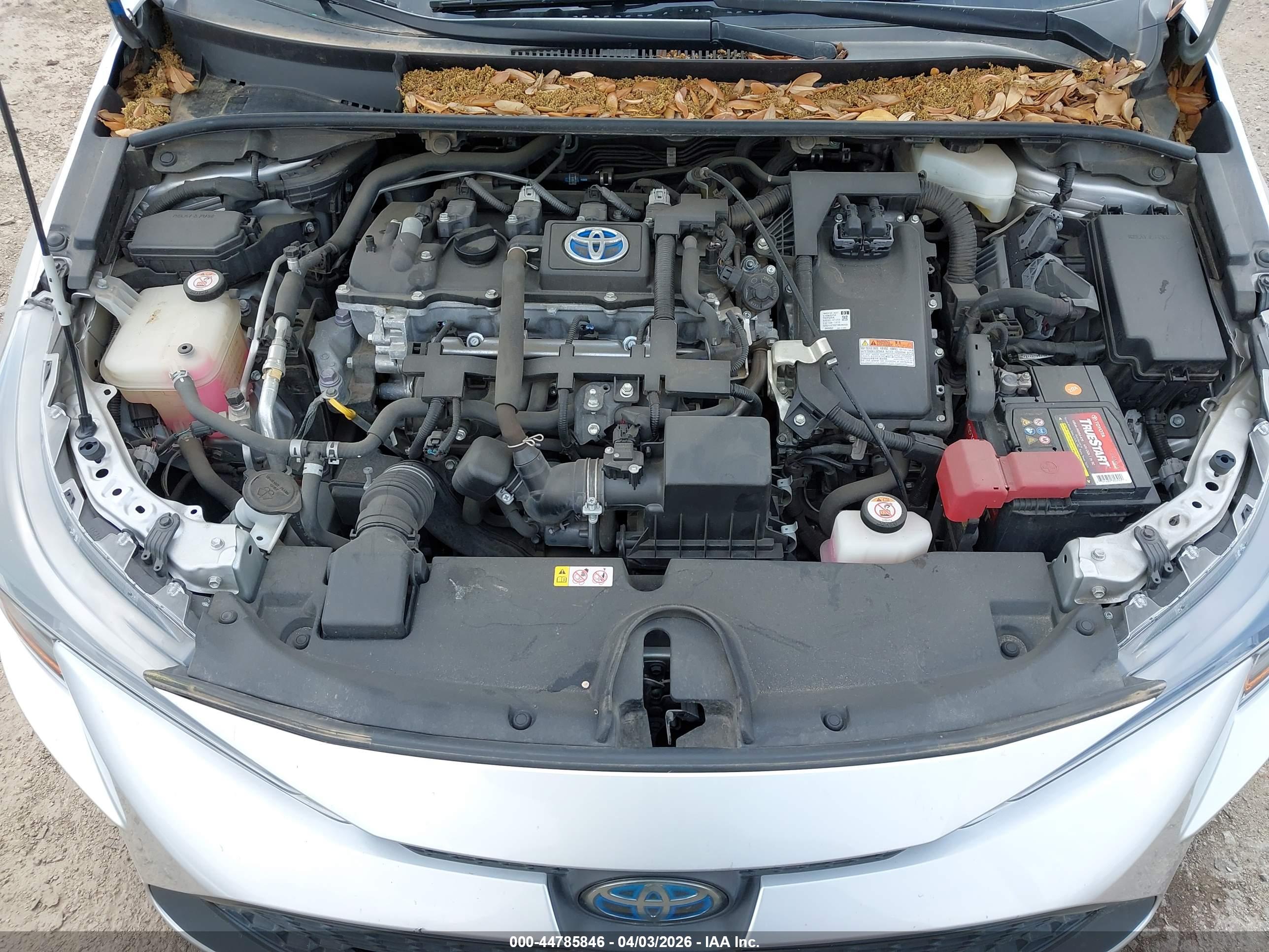 TOYOTA COROLLA image 10