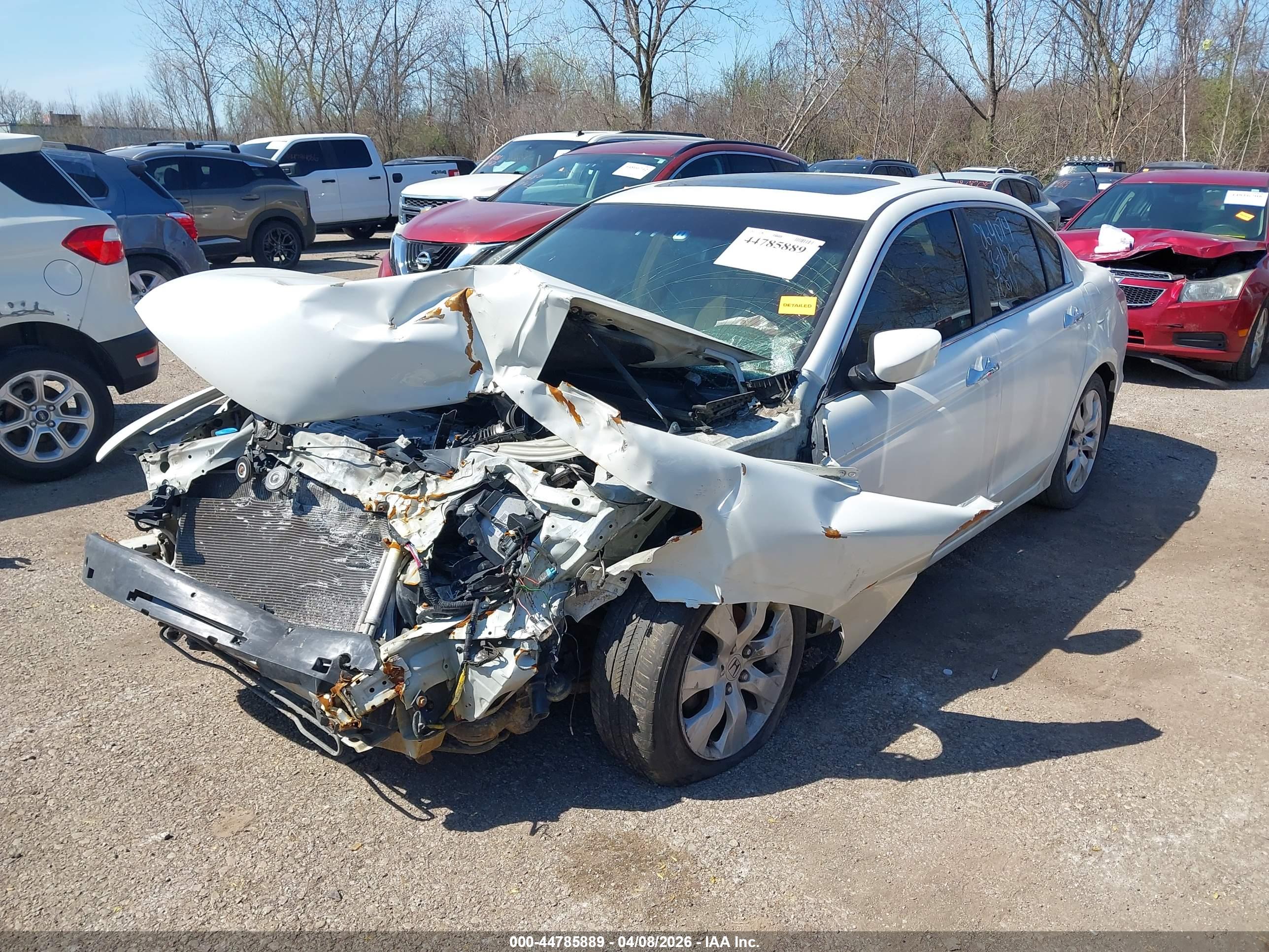HONDA ACCORD image 2