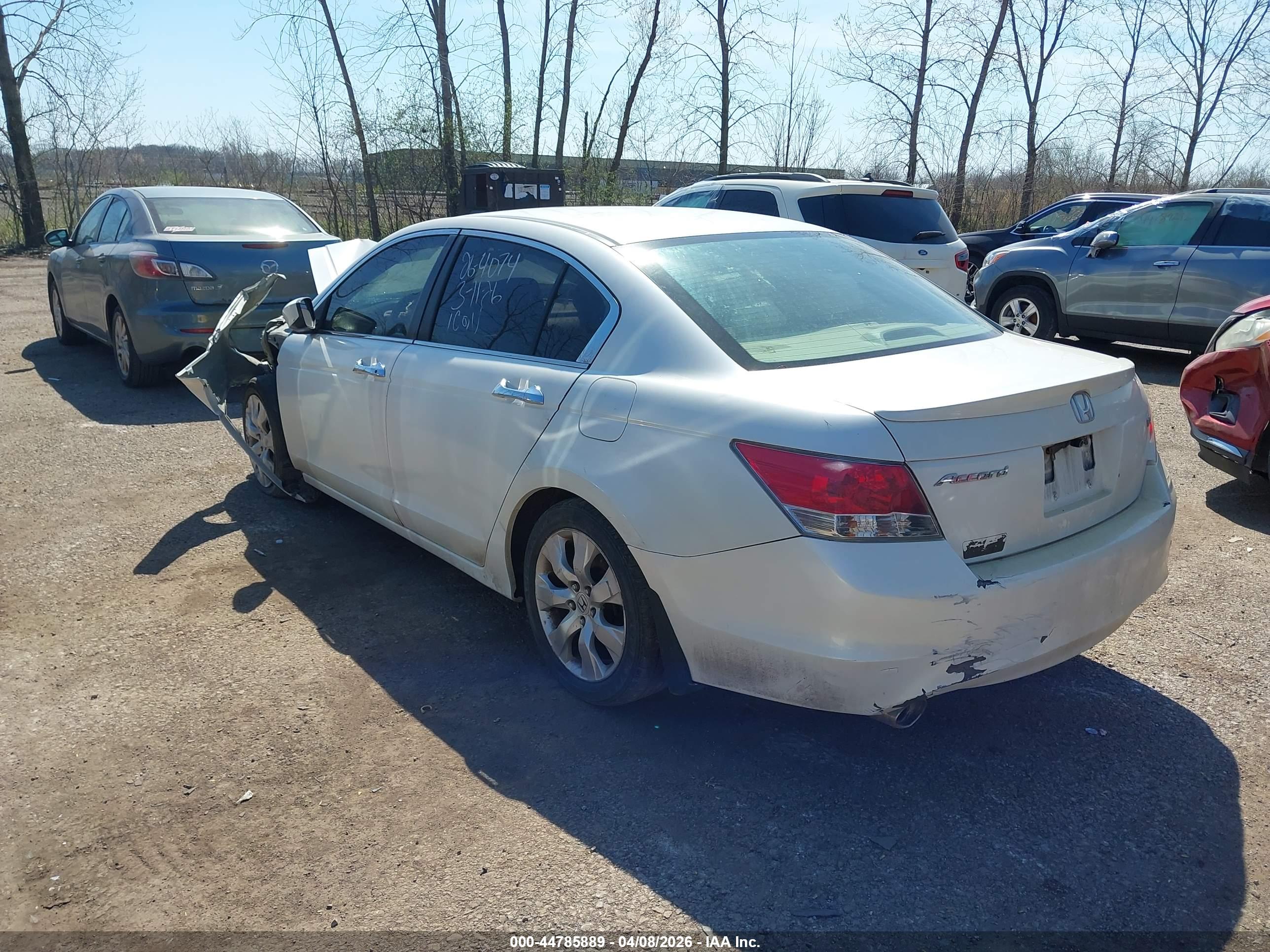 HONDA ACCORD image 3