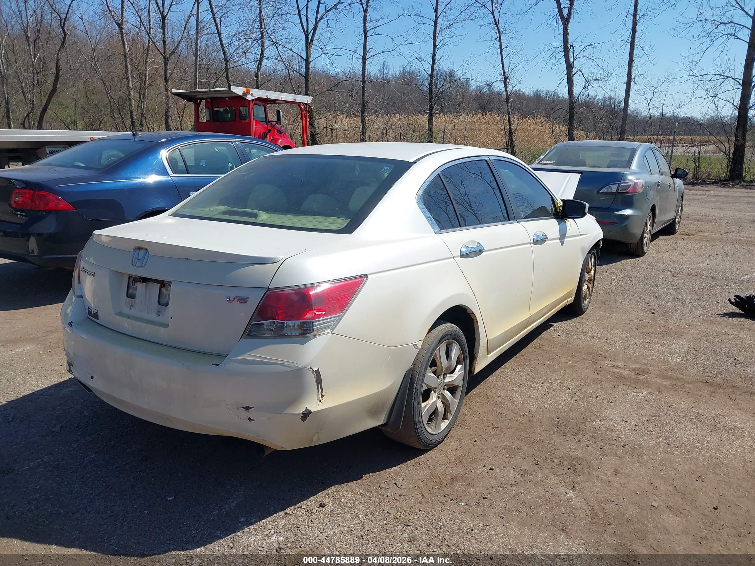HONDA ACCORD image 4