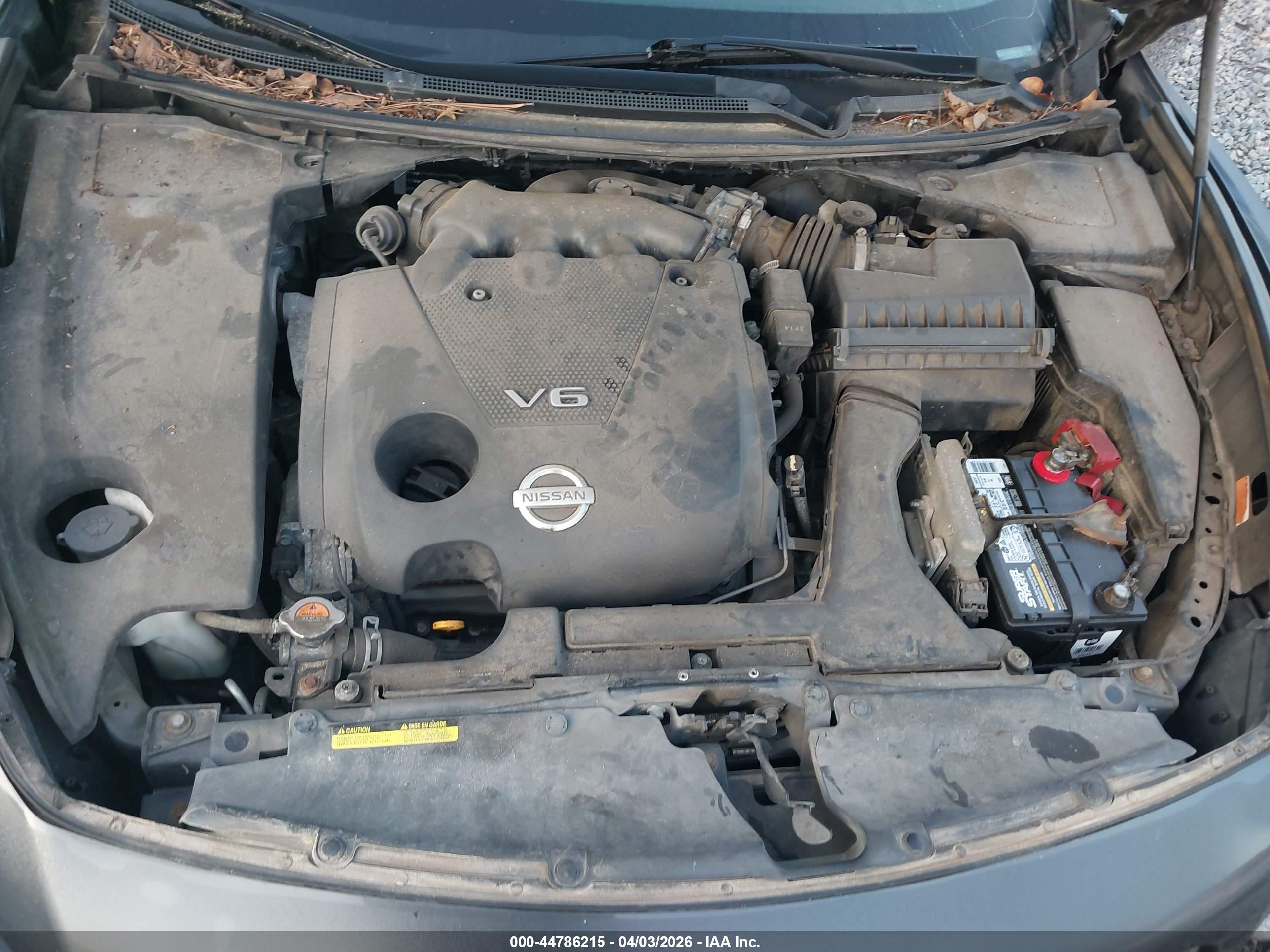 NISSAN MAXIMA image 10