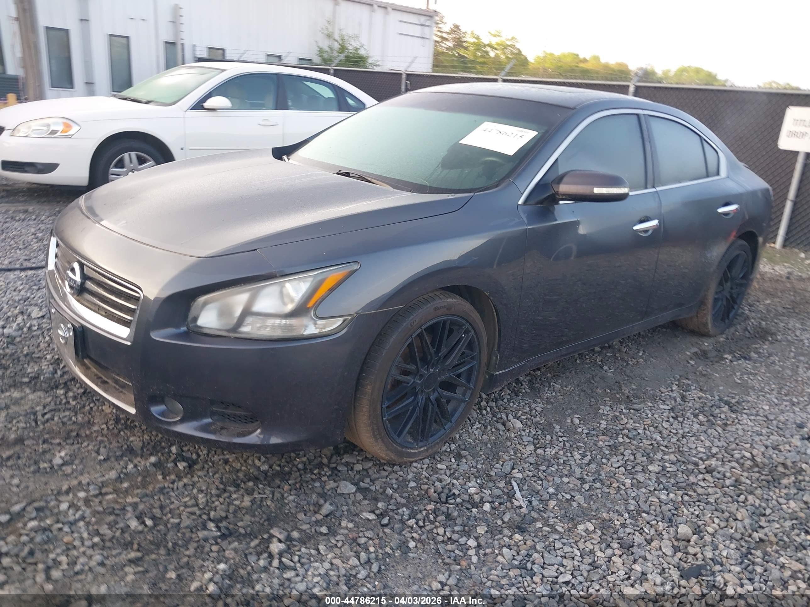 NISSAN MAXIMA image 2