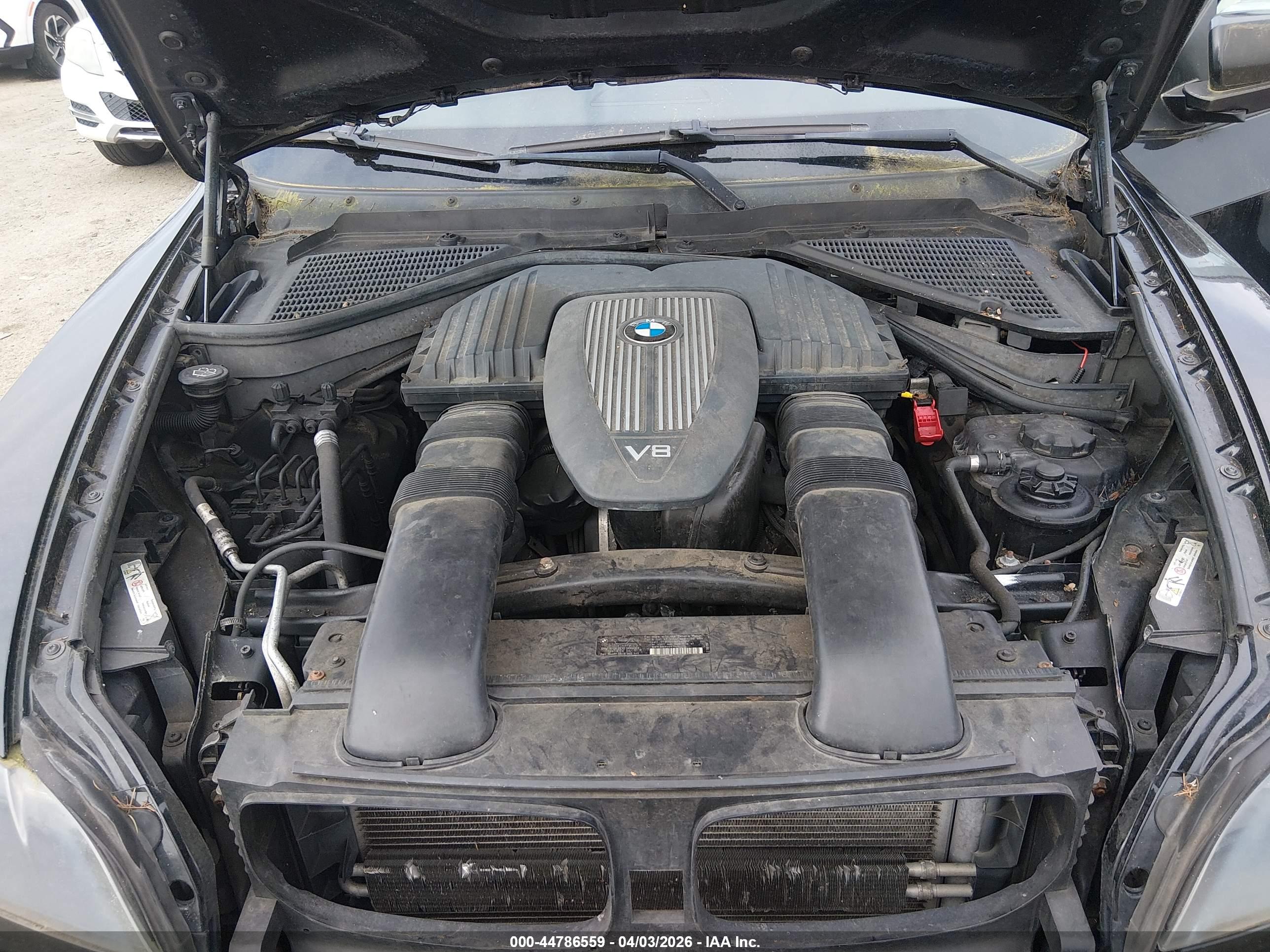 BMW X5 image 10