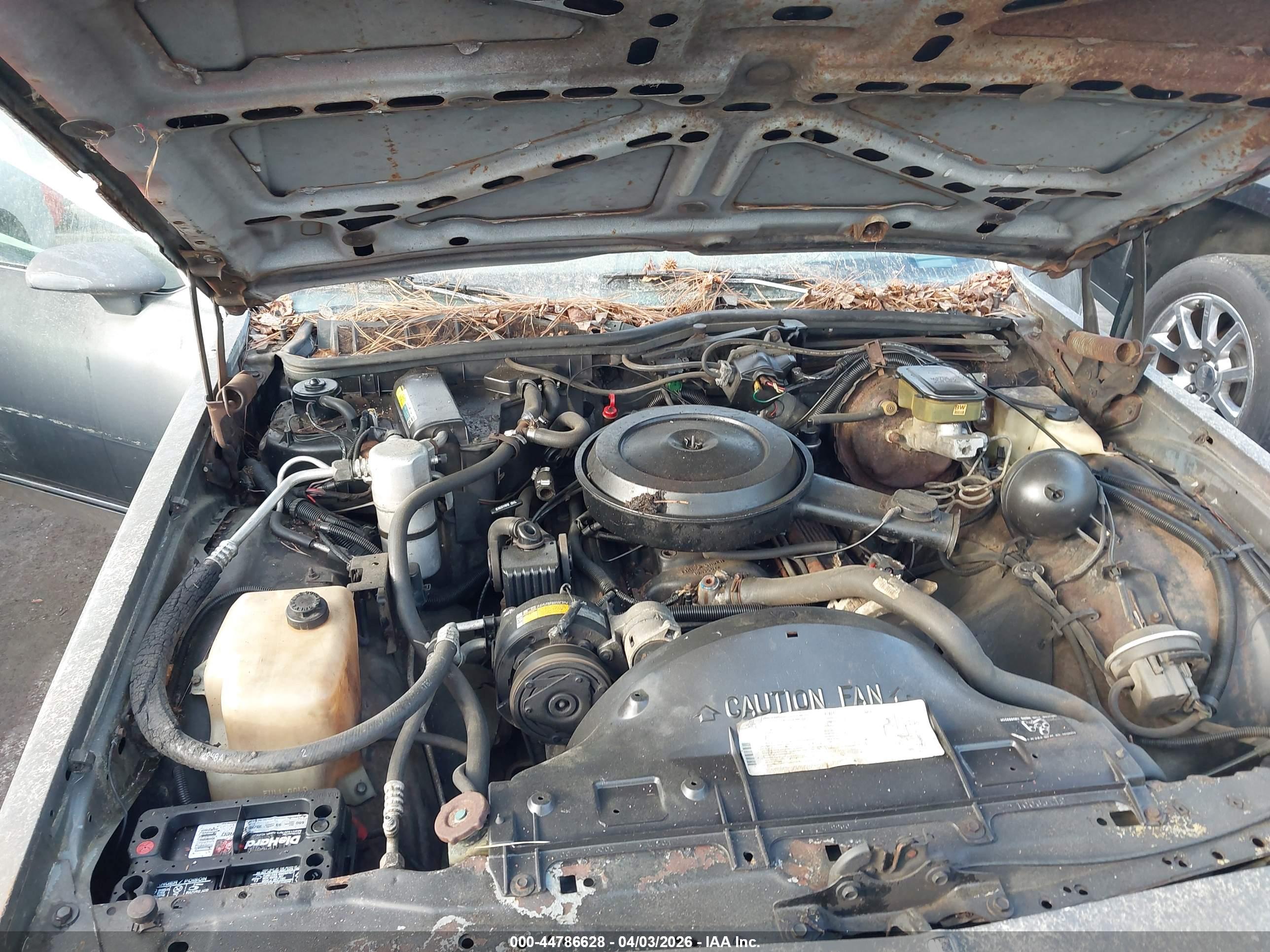 CHEVROLET CAPRICE image 10