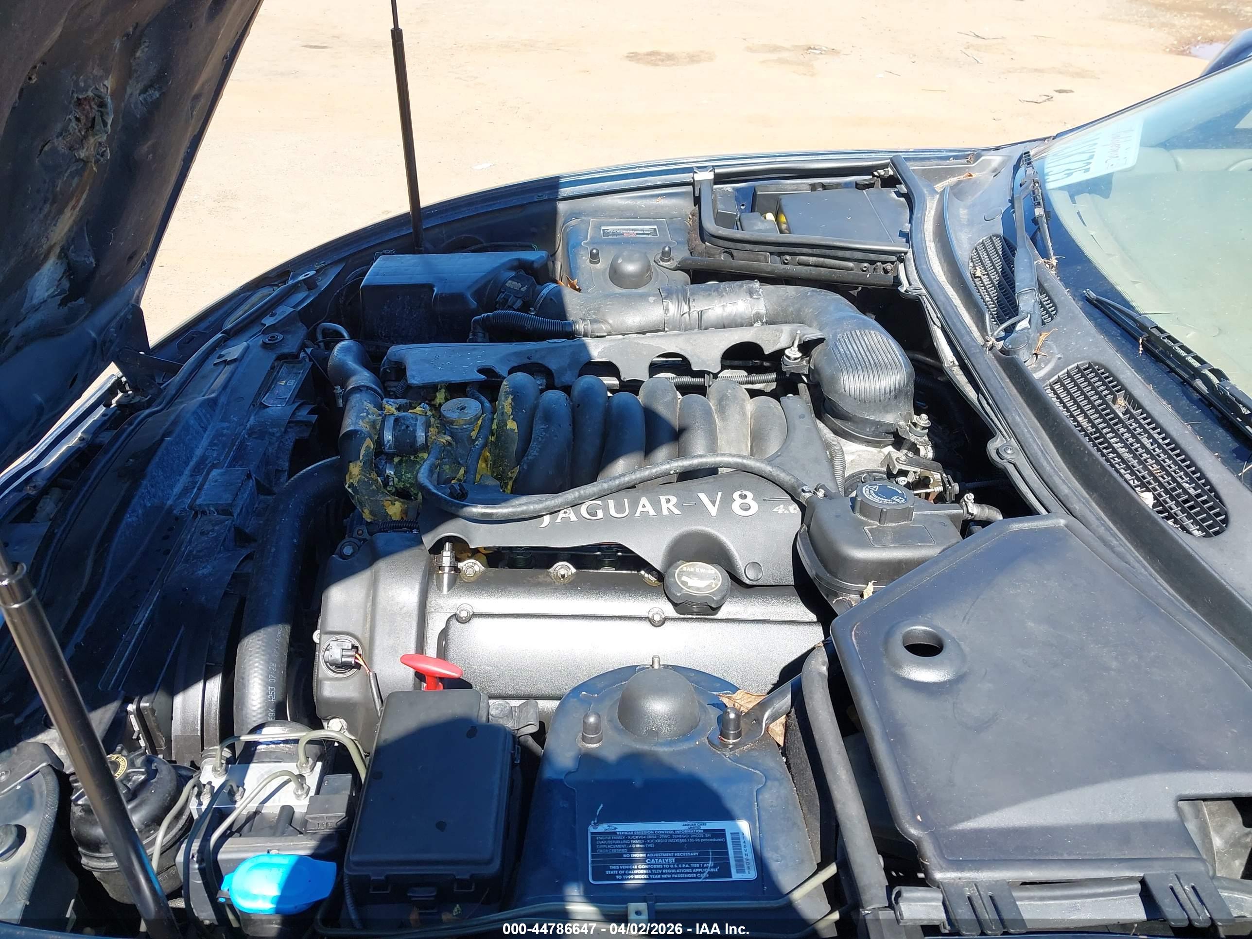 JAGUAR XK8 image 10