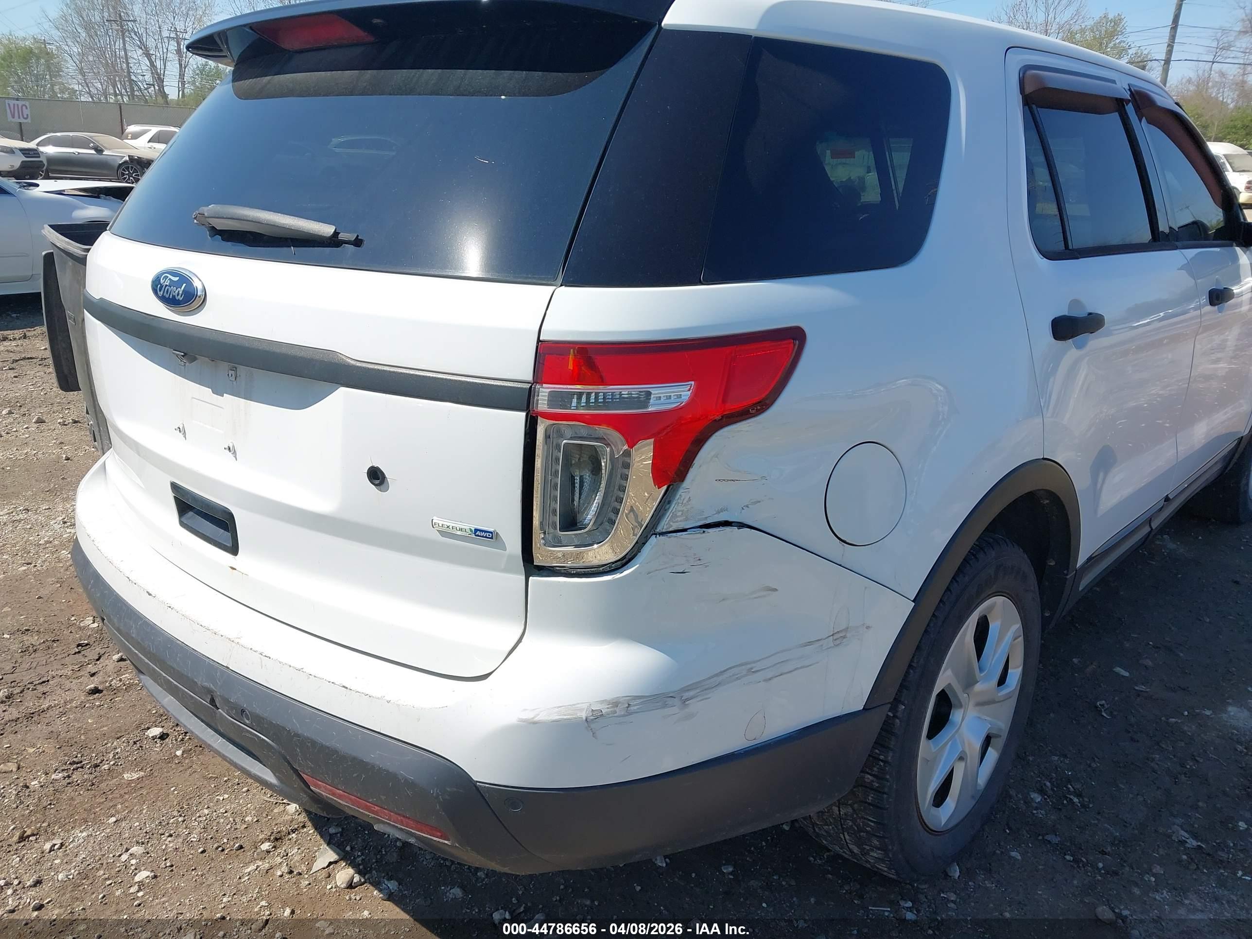 FORD UTILITY image 6