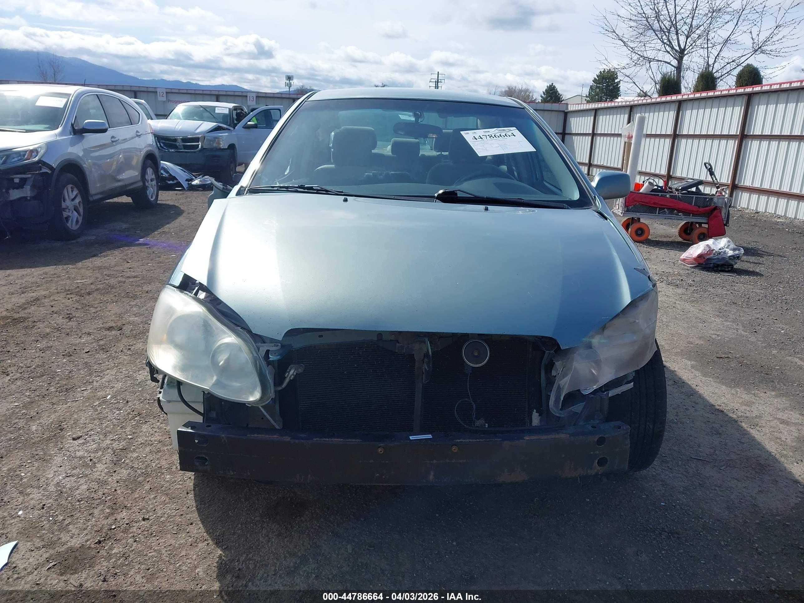 TOYOTA COROLLA image 6