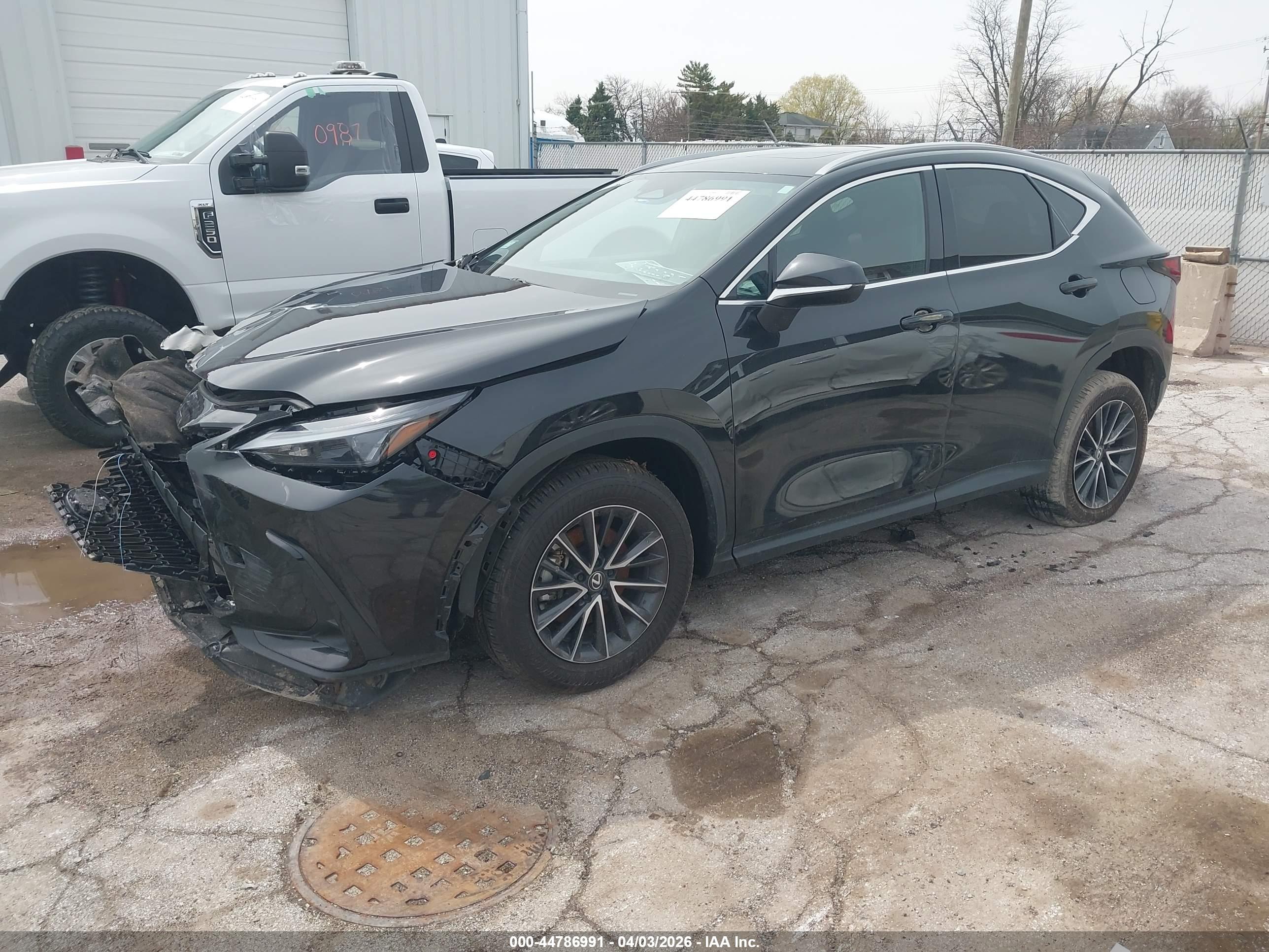 LEXUS NX image 2