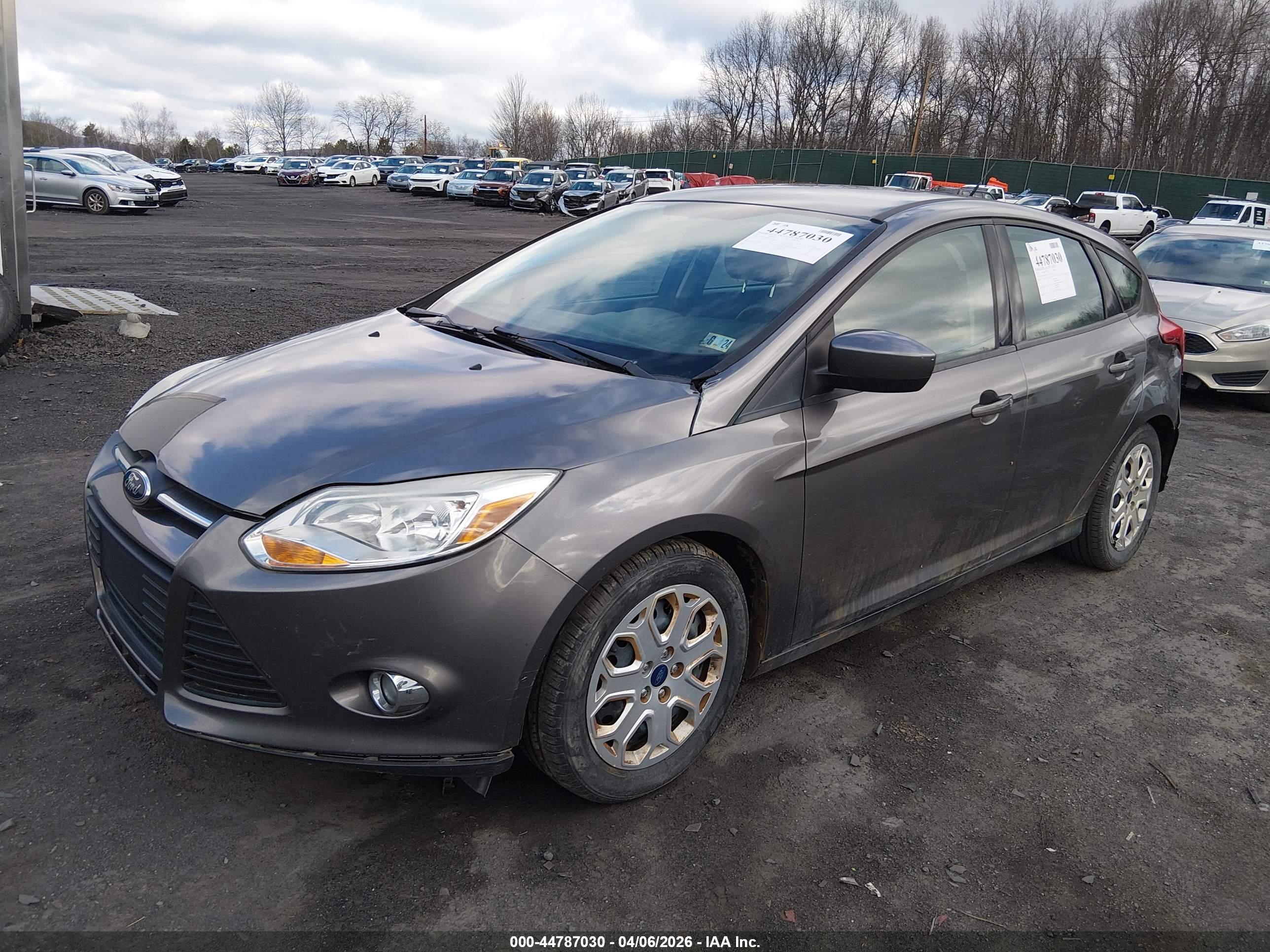 FORD FOCUS image 2