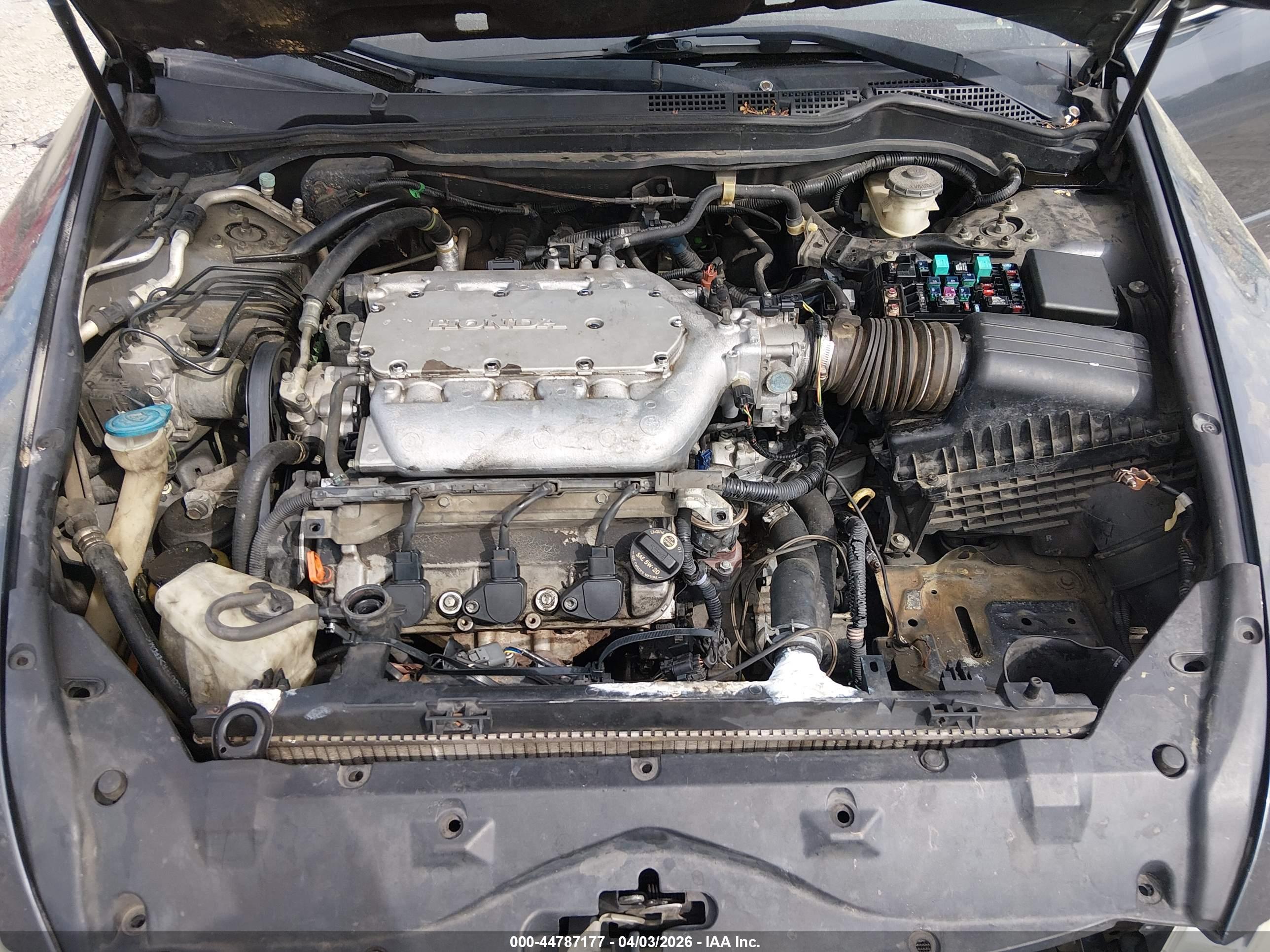 HONDA ACCORD image 10