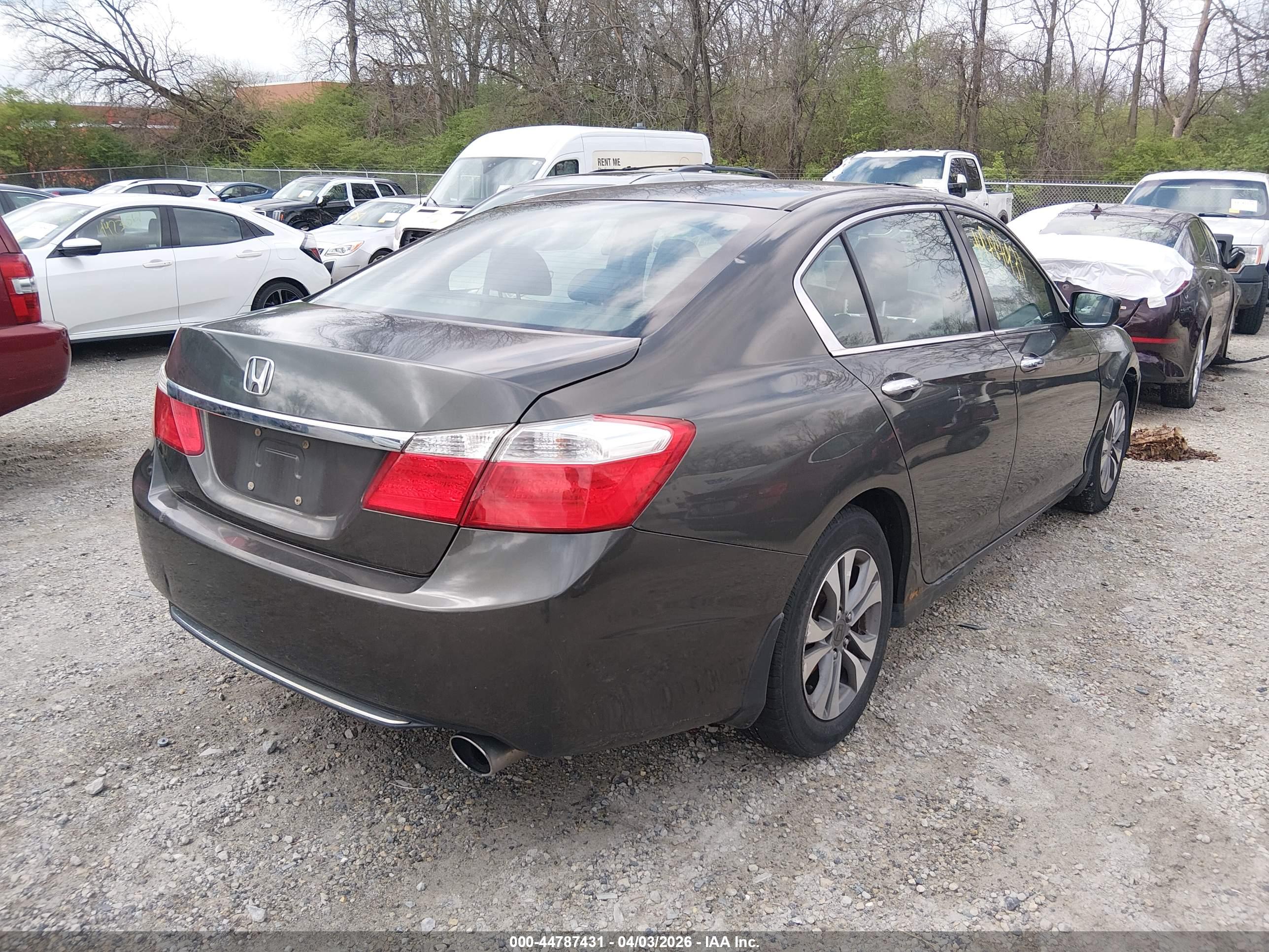 HONDA ACCORD image 4