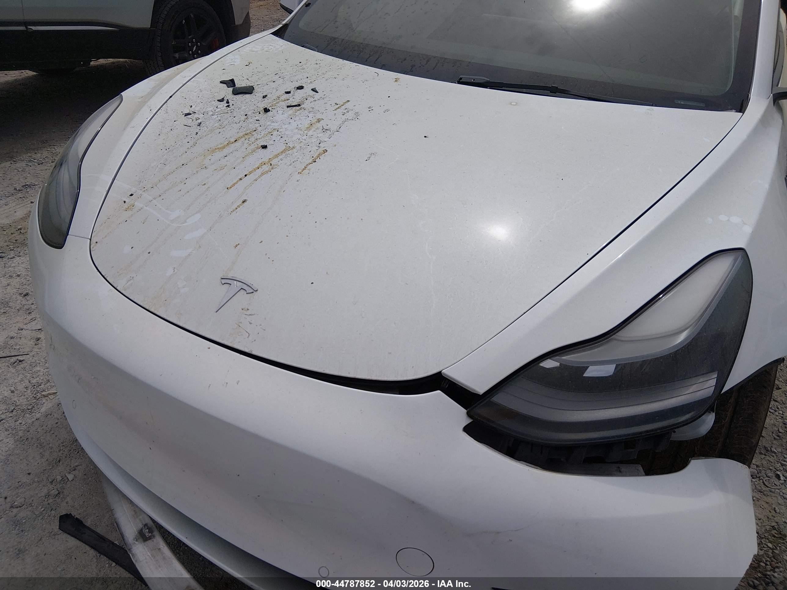 TESLA MODEL image 10