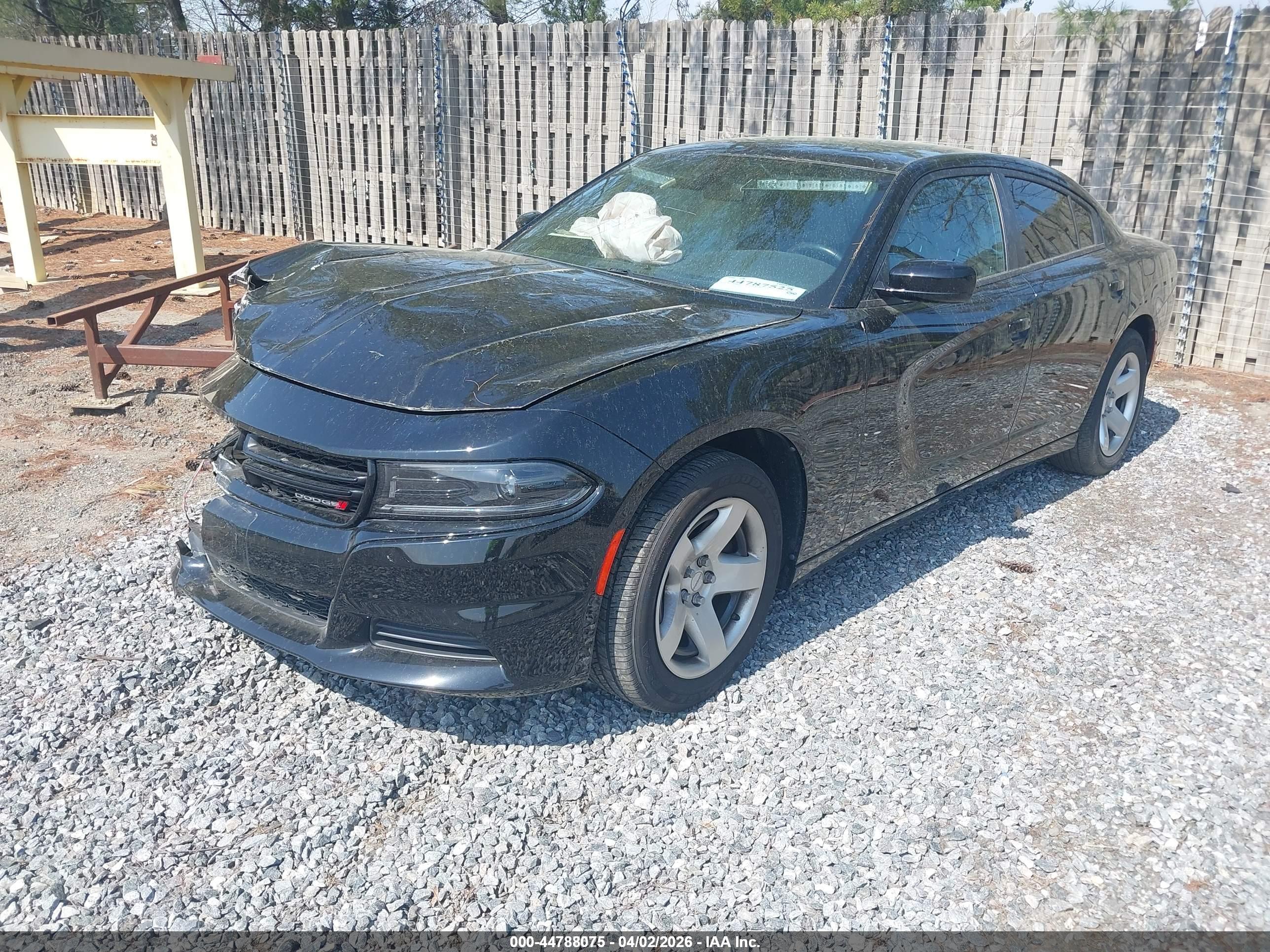 DODGE CHARGER image 2