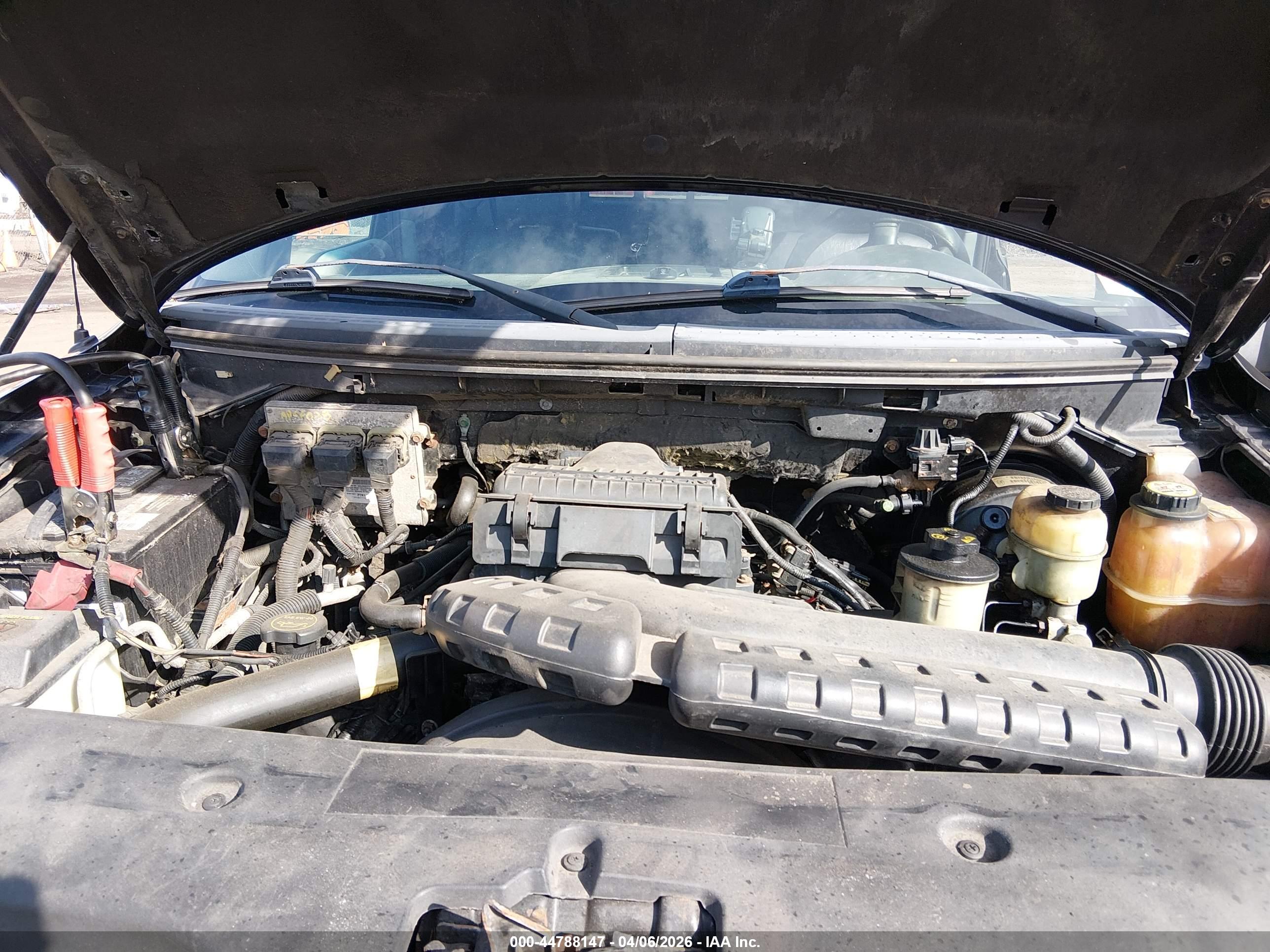 FORD F-150 image 10