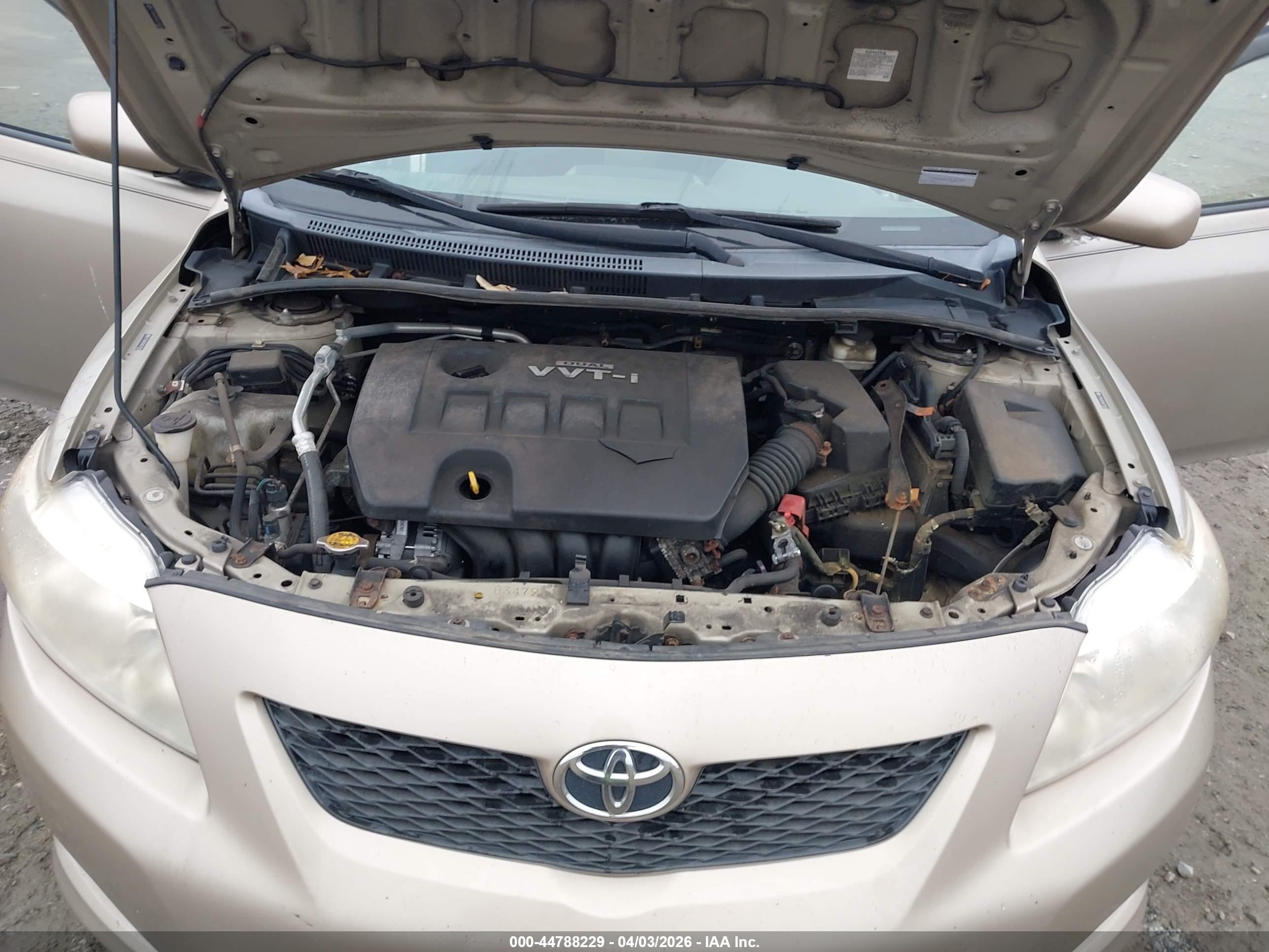 TOYOTA COROLLA image 10