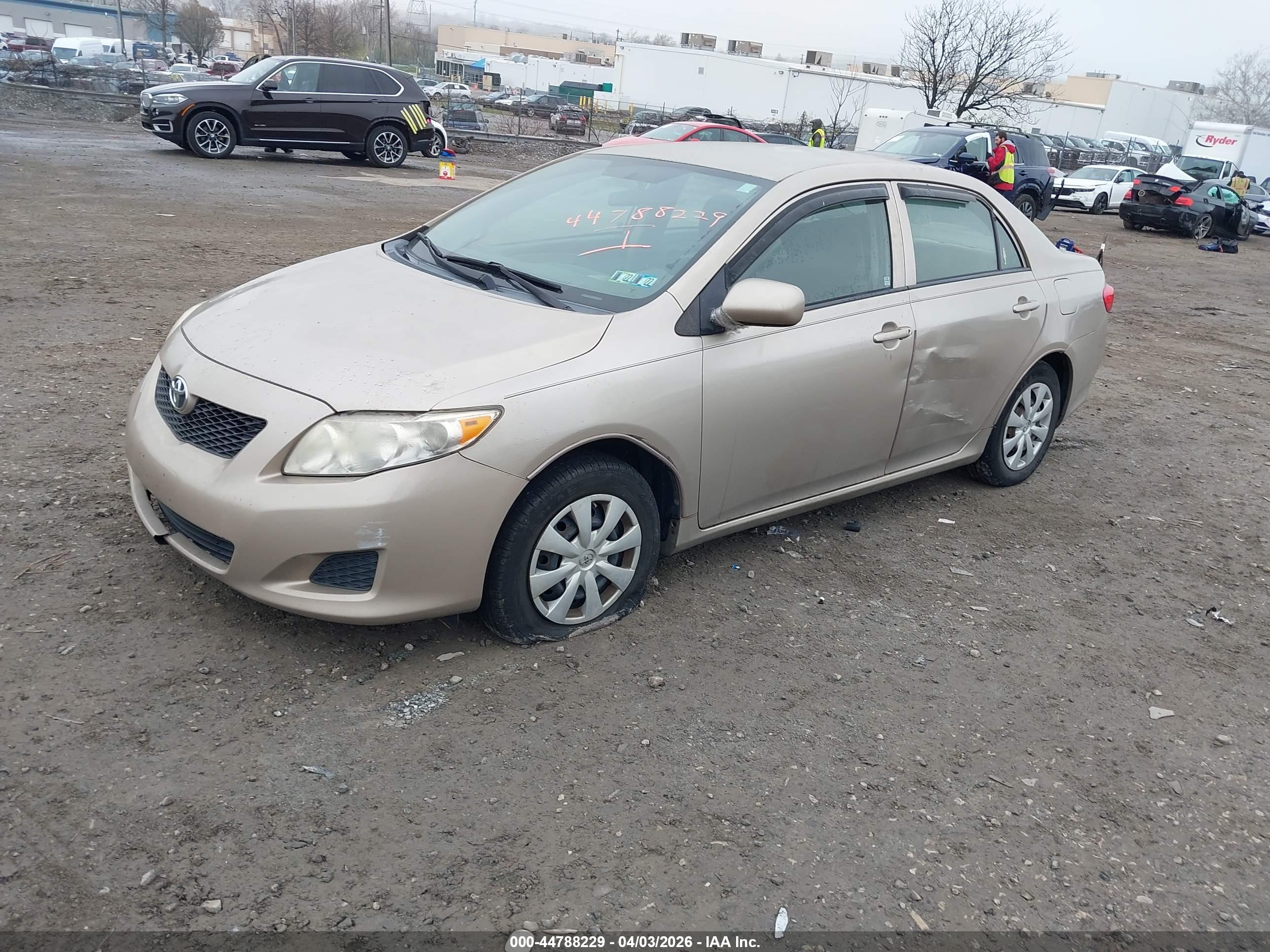 TOYOTA COROLLA image 2