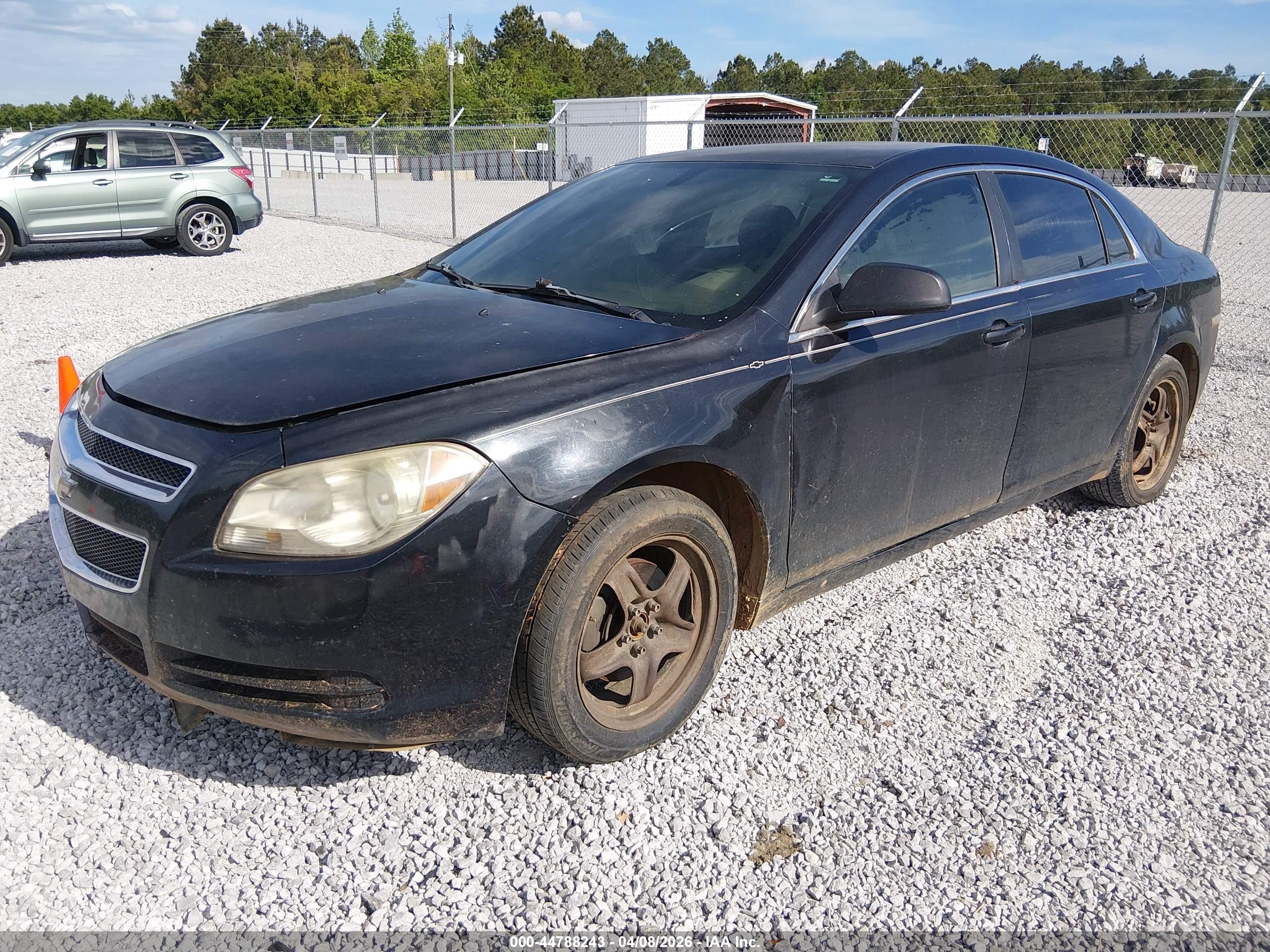 CHEVROLET MALIBU image 2