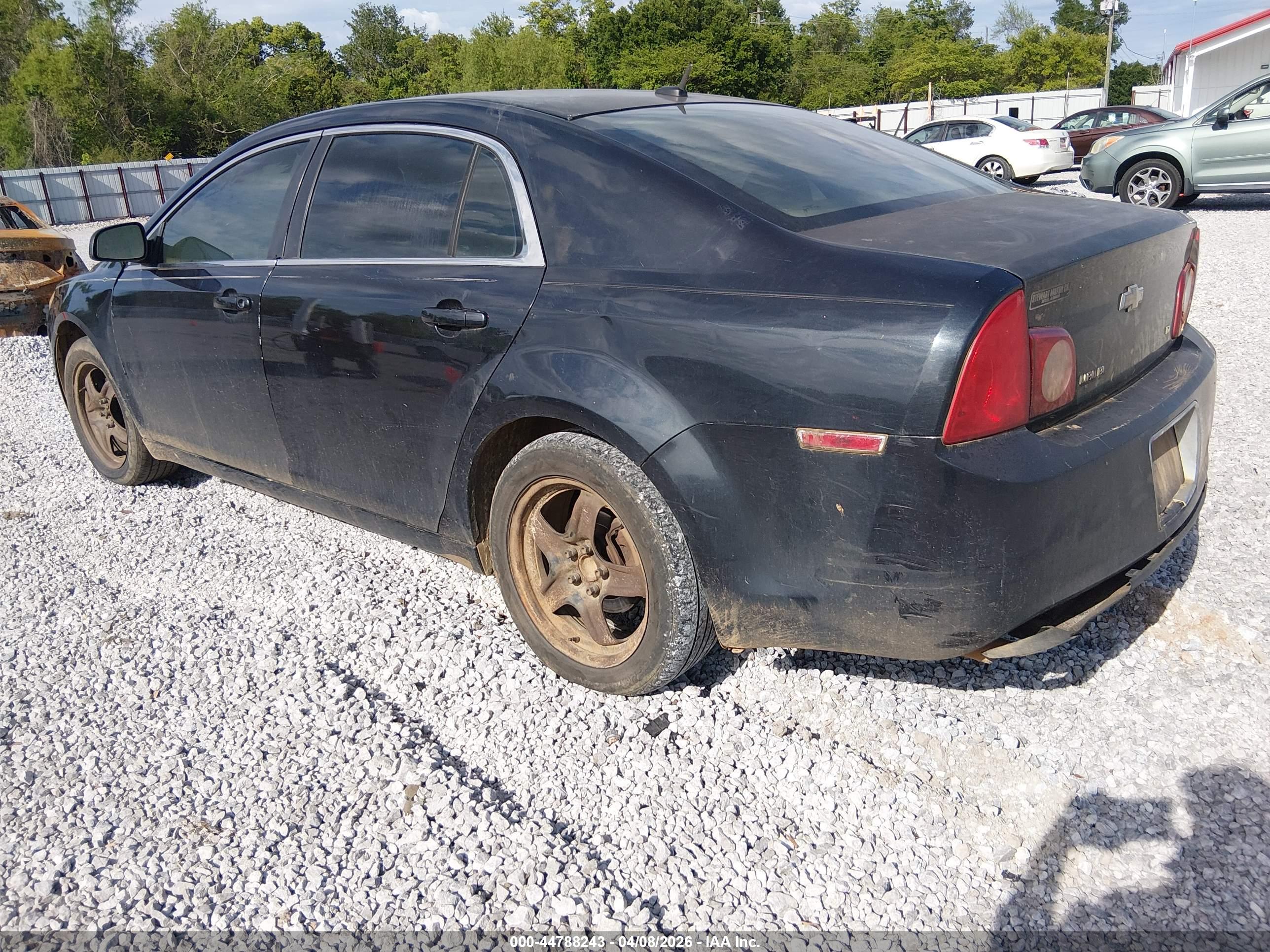 CHEVROLET MALIBU image 3