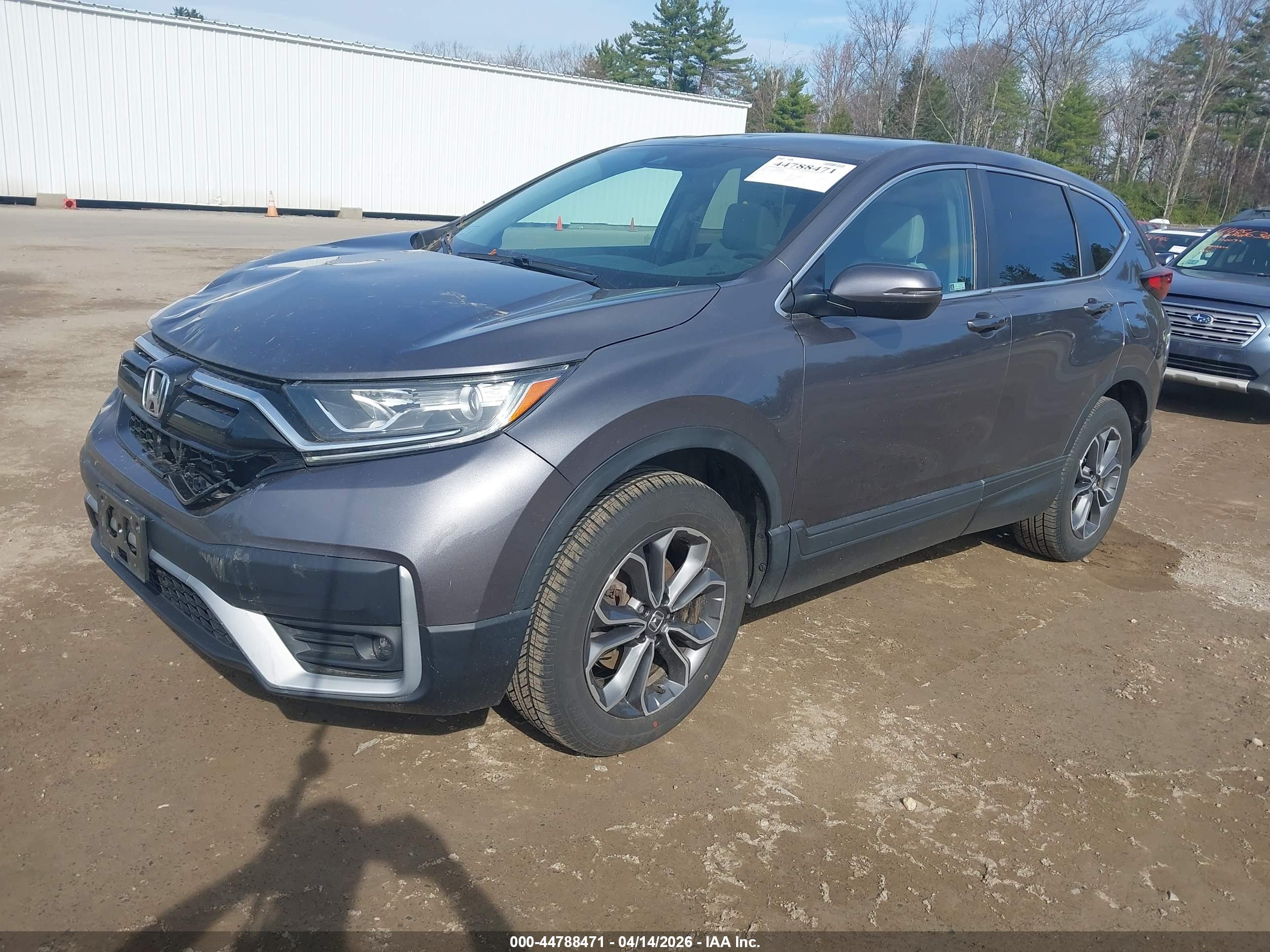 HONDA CR-V image 2