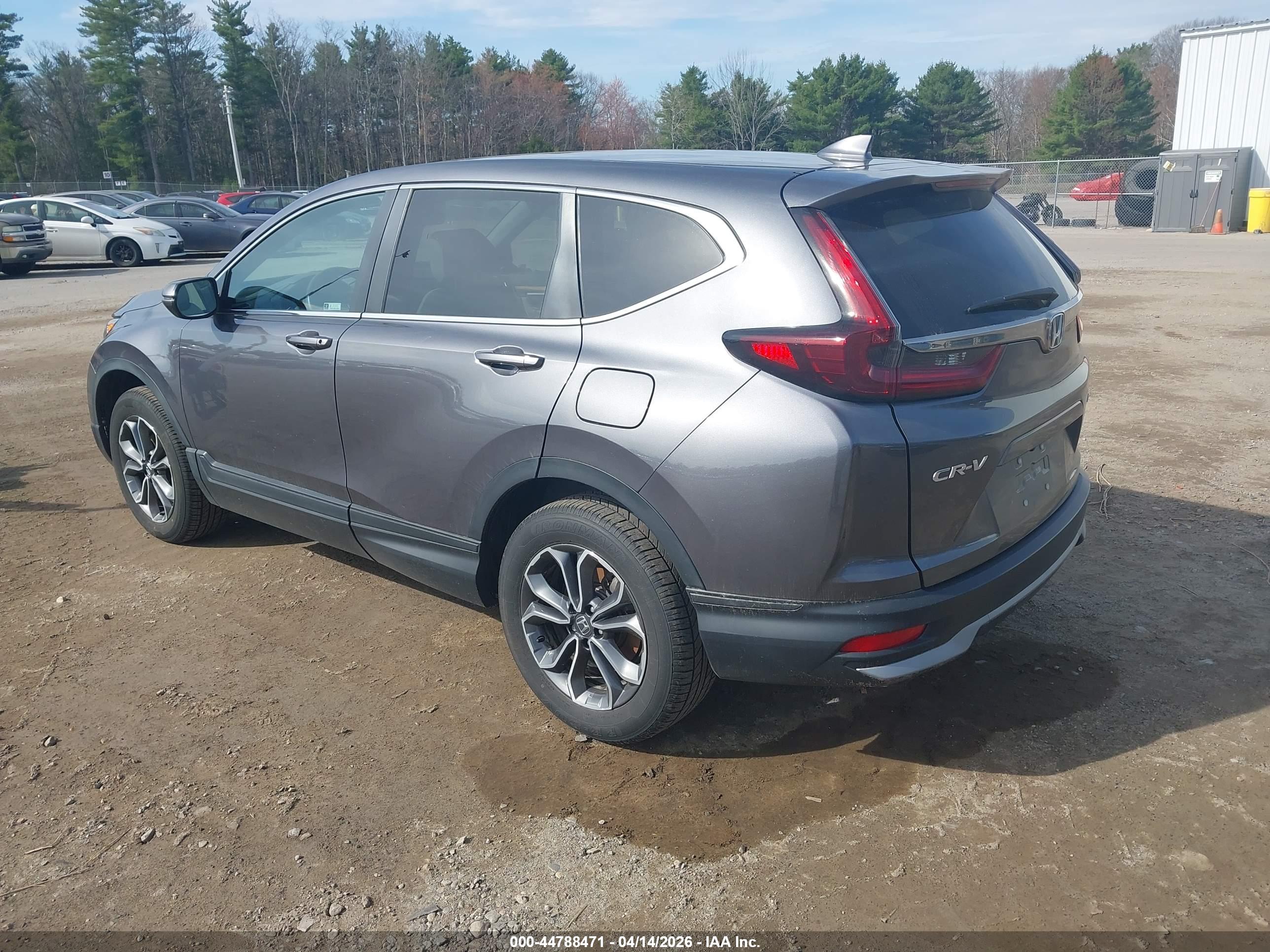 HONDA CR-V image 3