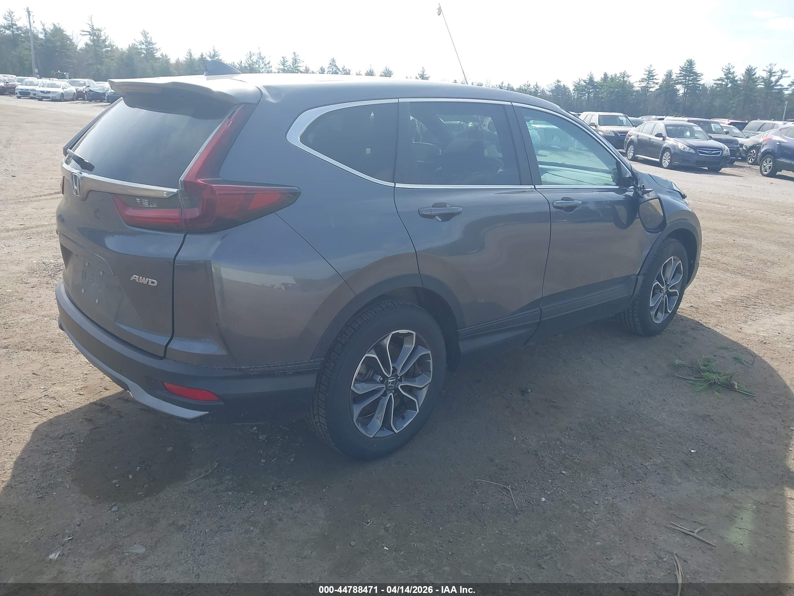 HONDA CR-V image 4