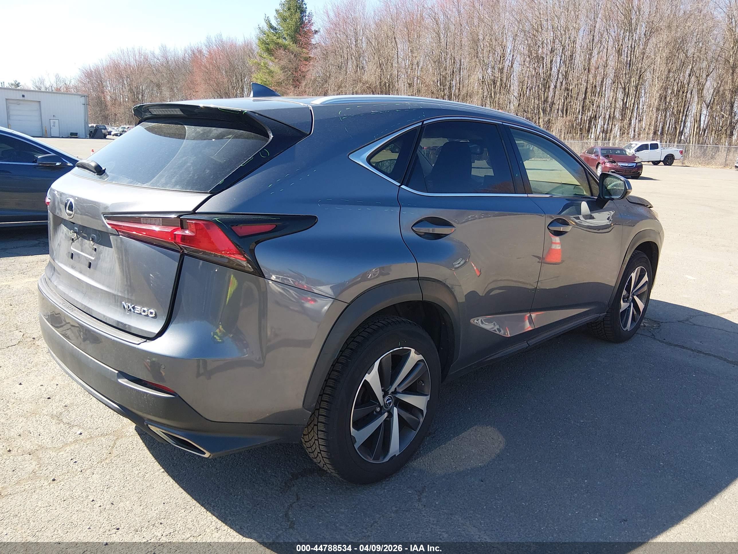 LEXUS NX image 4
