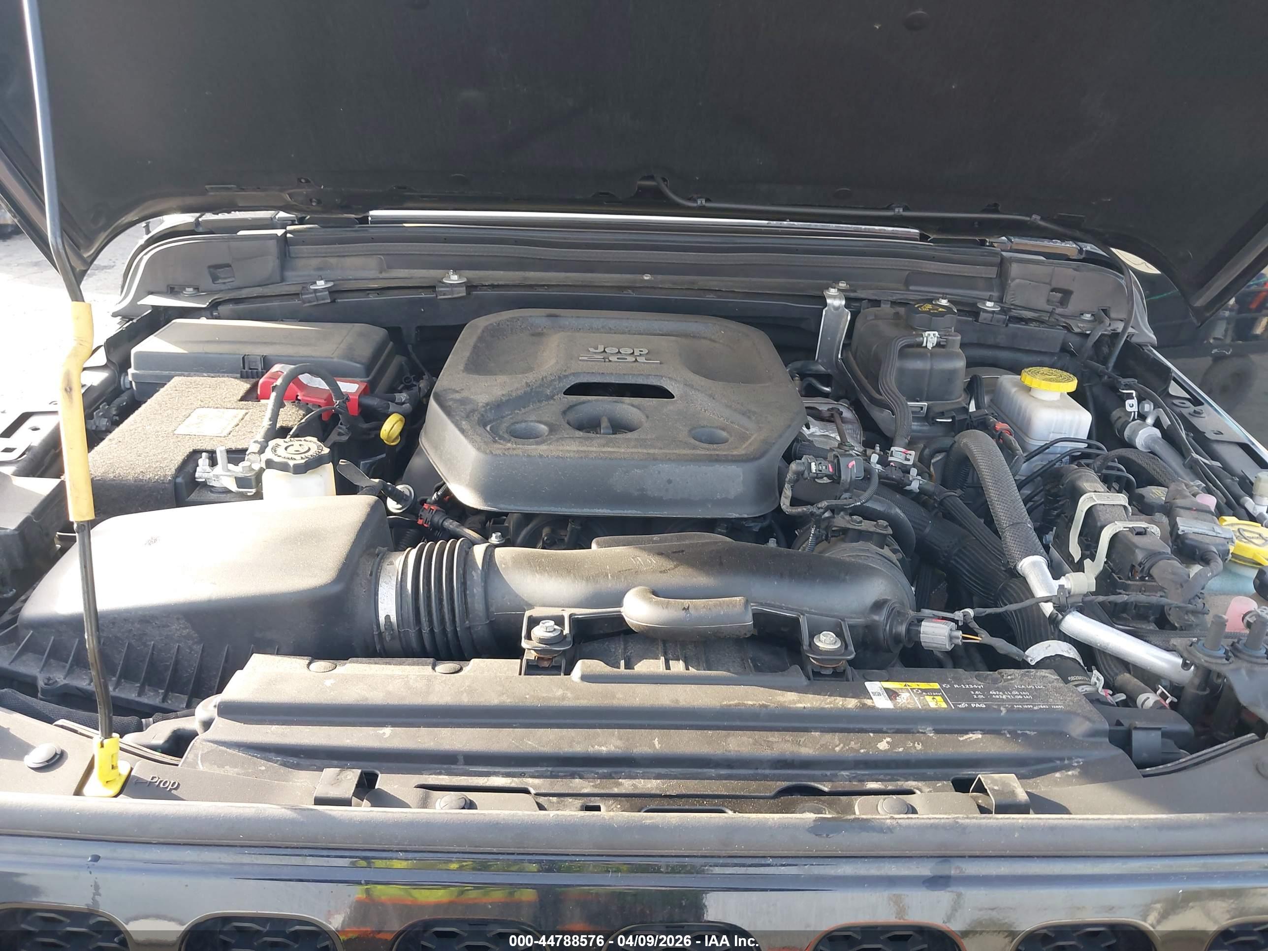 JEEP WRANGLER image 10