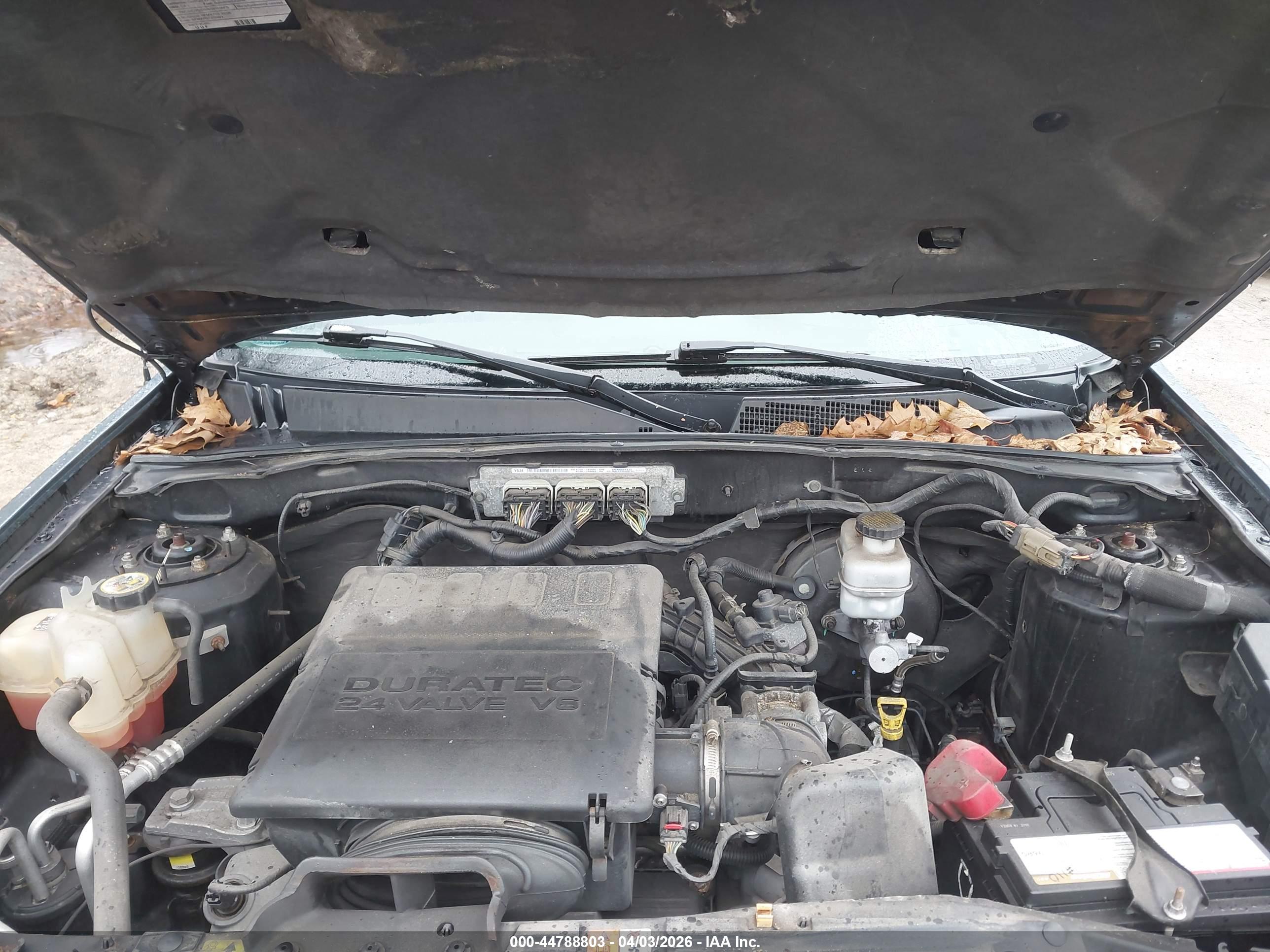 FORD ESCAPE image 10