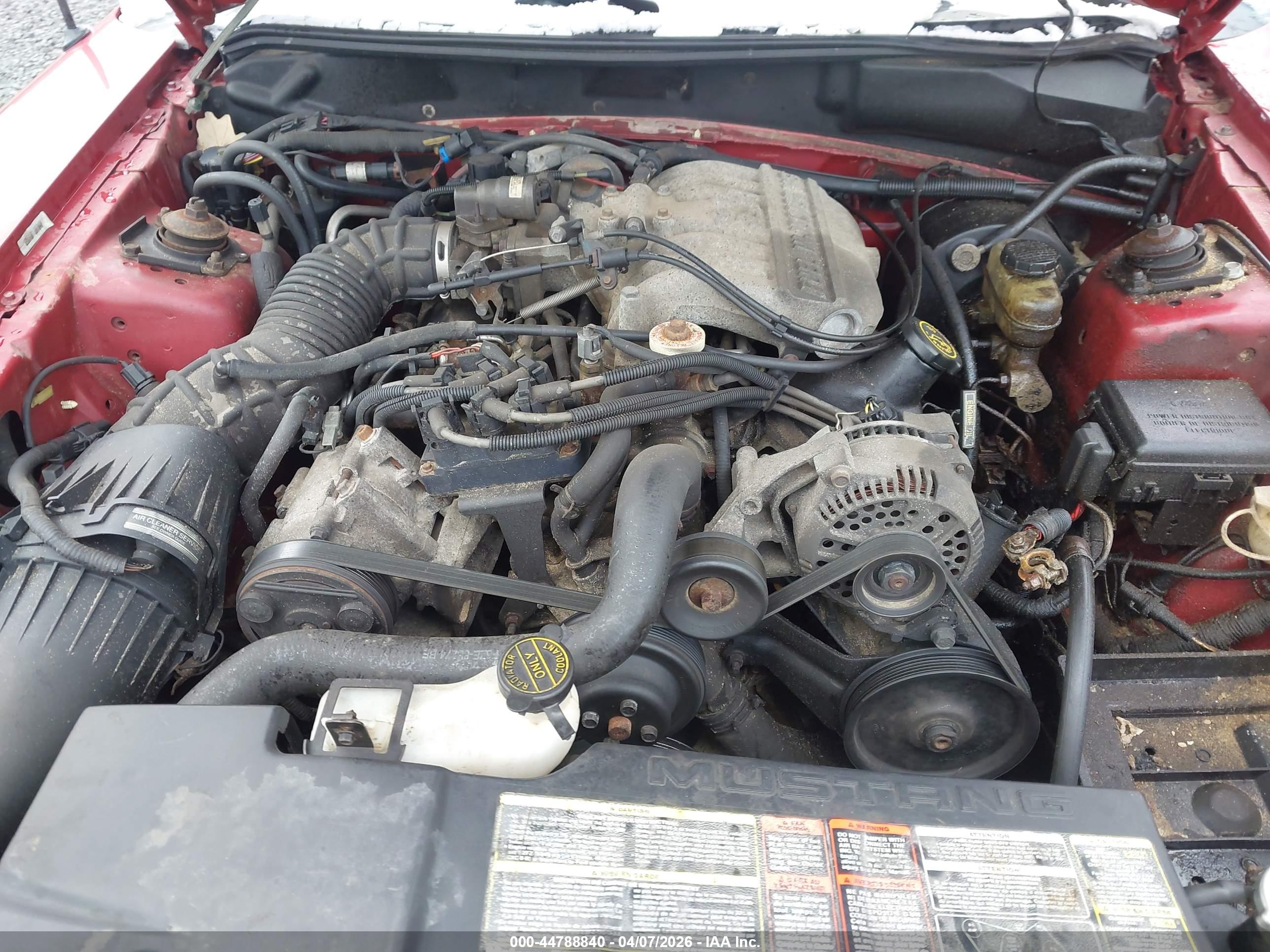 FORD MUSTANG image 10