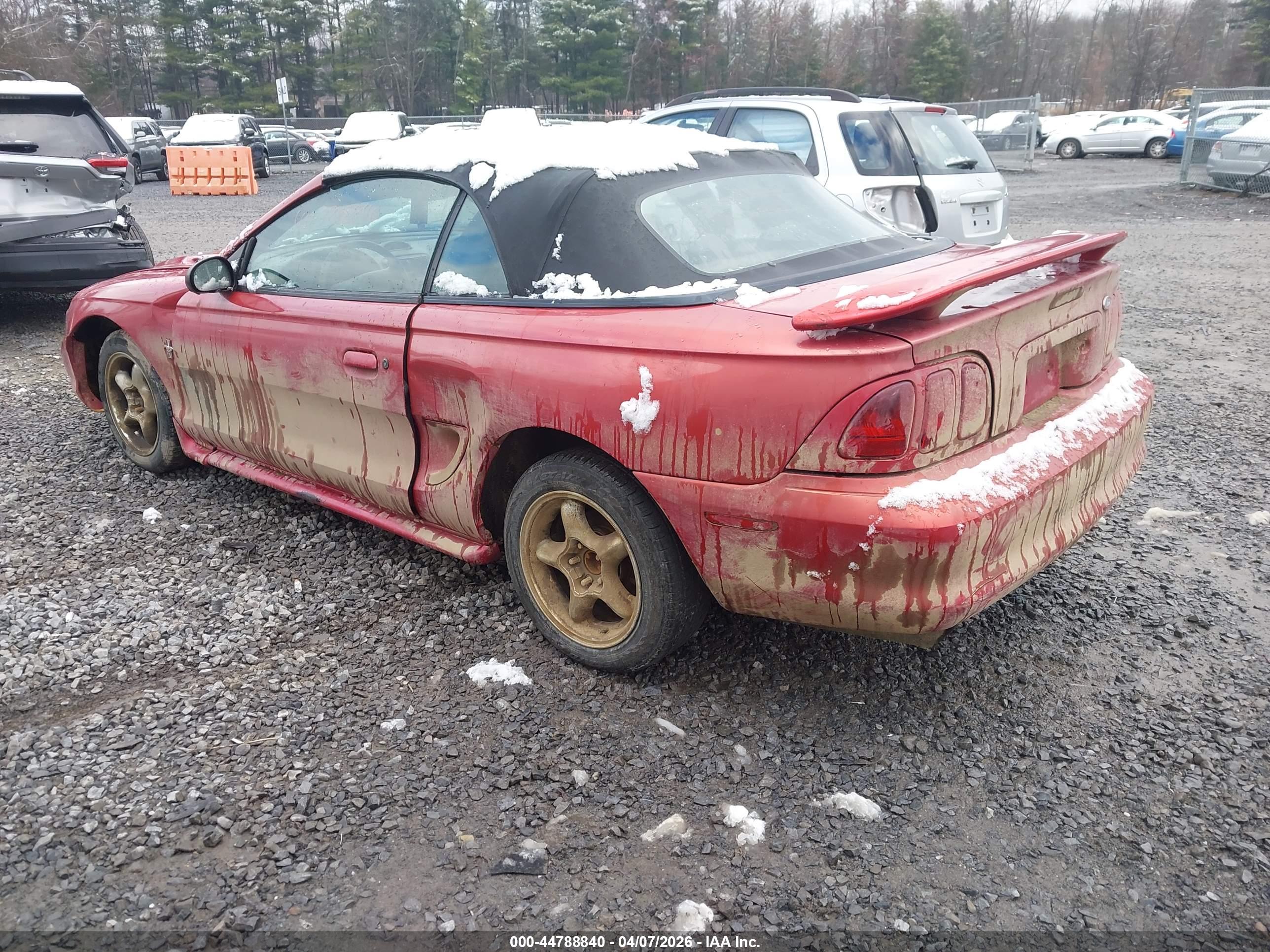 FORD MUSTANG image 3