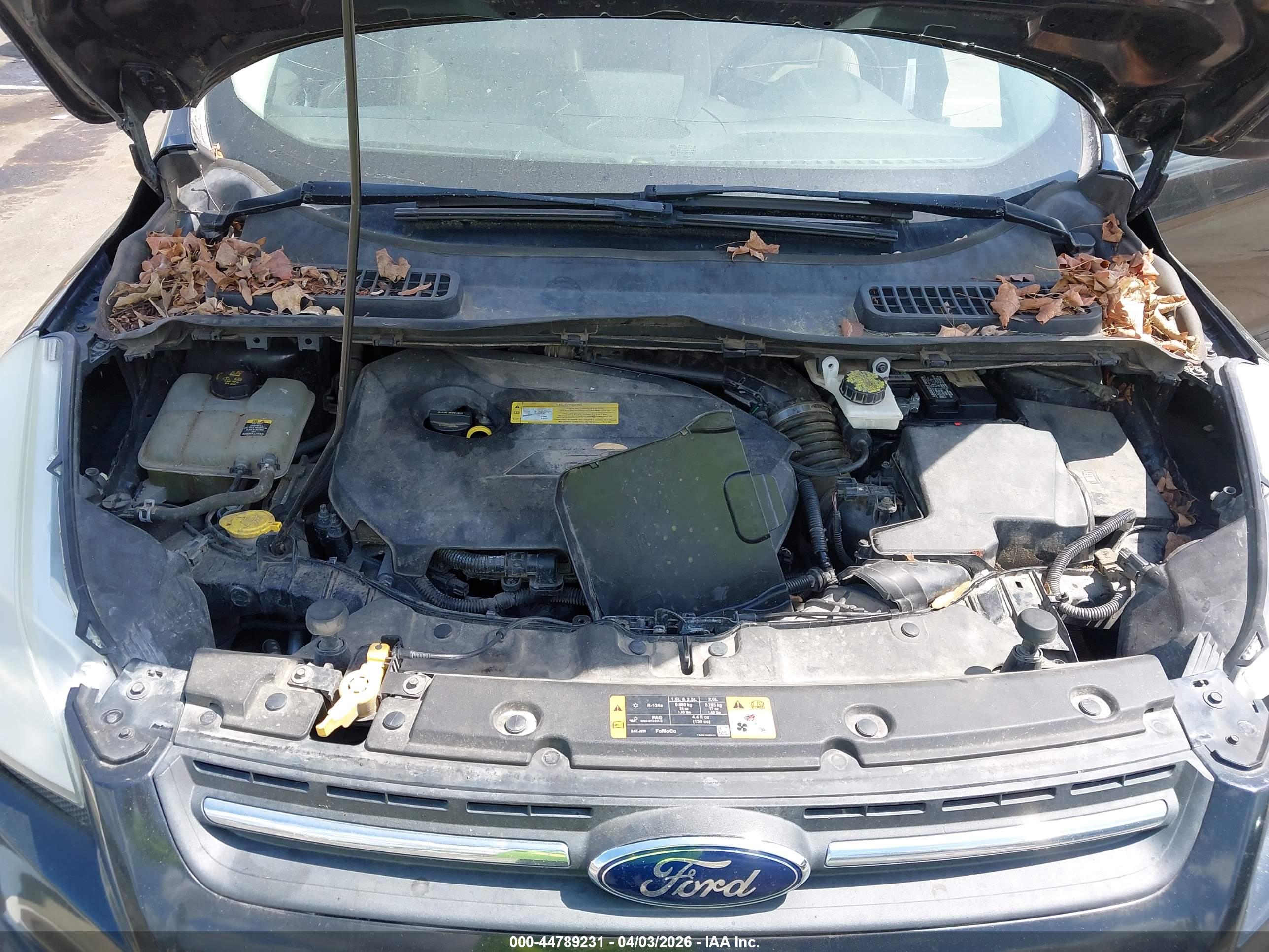 FORD ESCAPE image 10