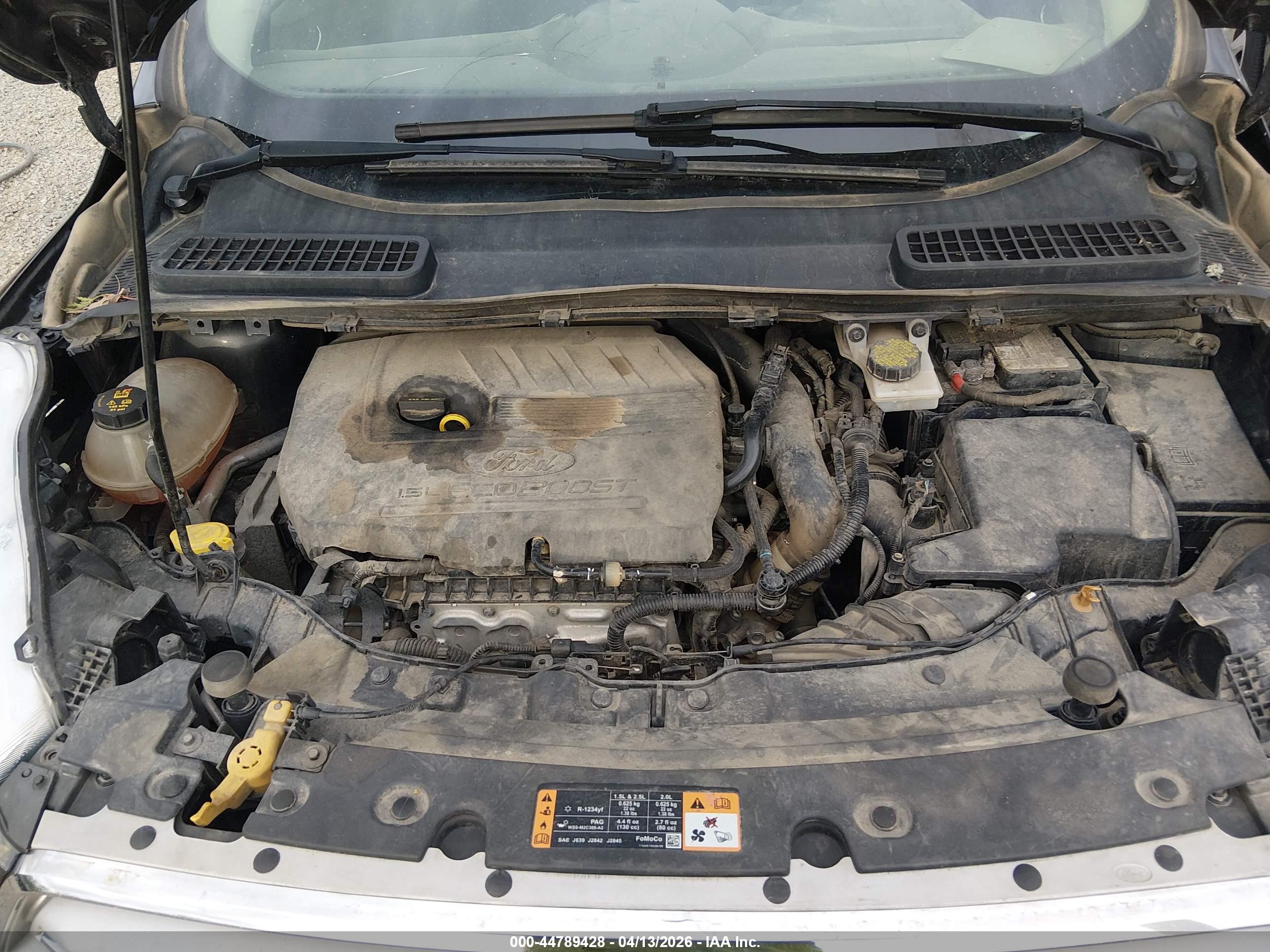 FORD ESCAPE image 10