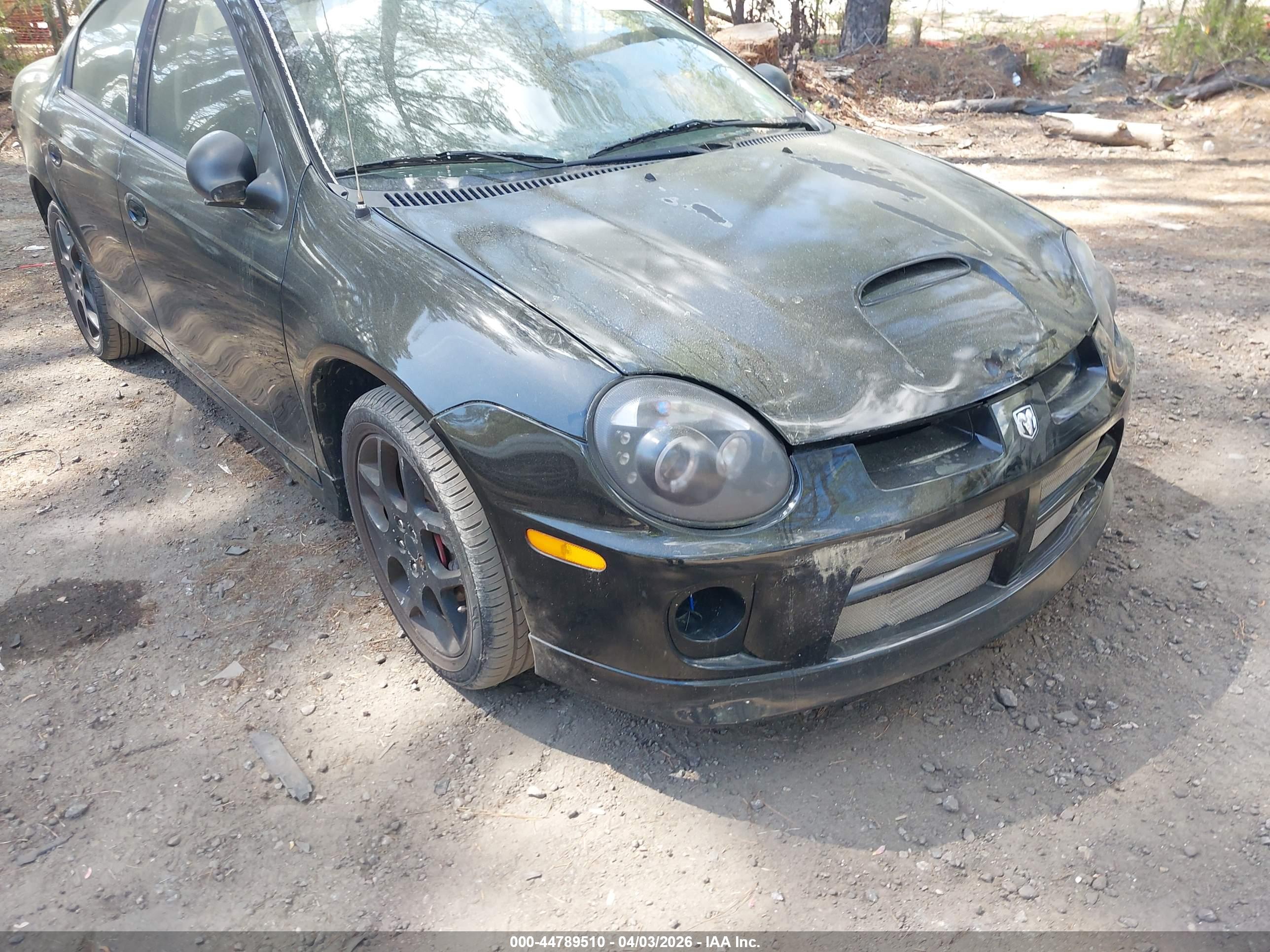 DODGE SRT4 image 6