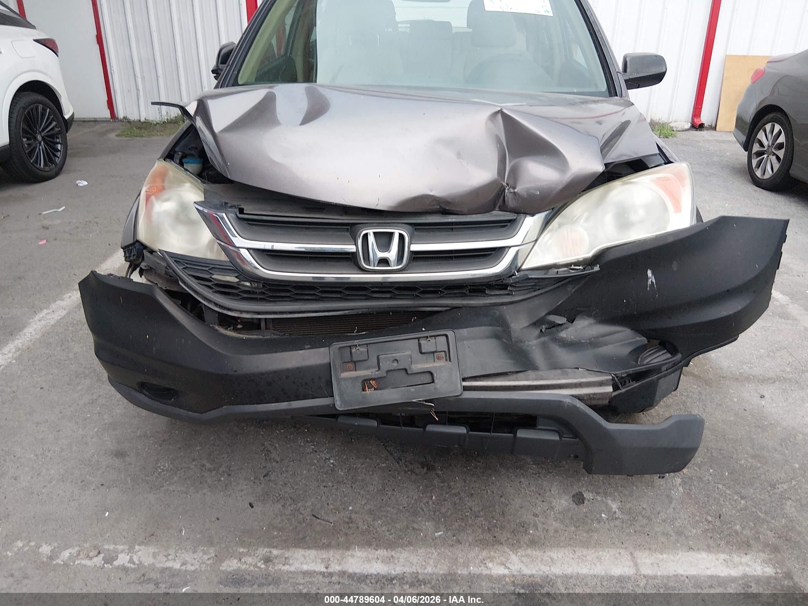 HONDA CR-V image 6