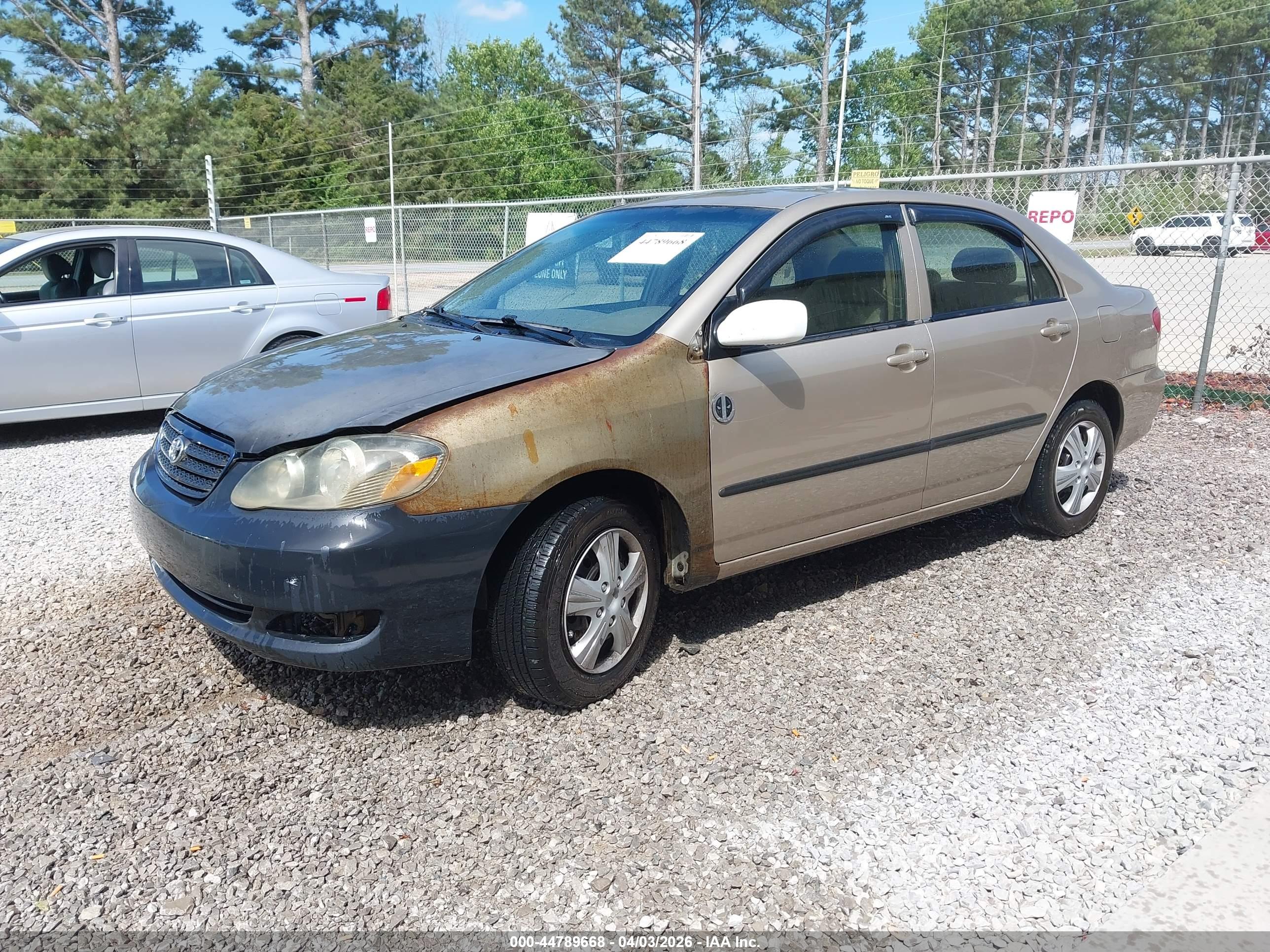 TOYOTA COROLLA image 2