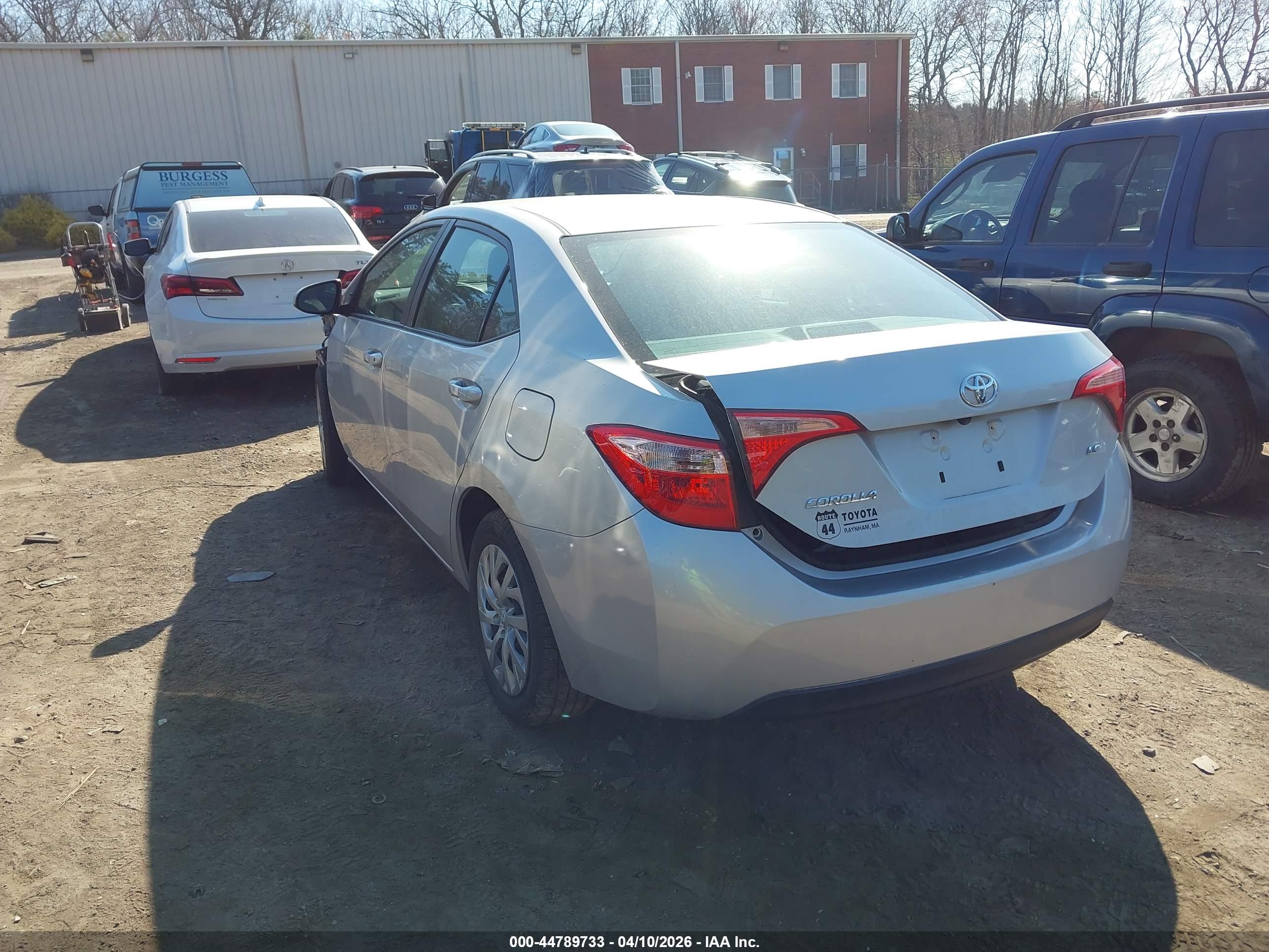 TOYOTA COROLLA image 3