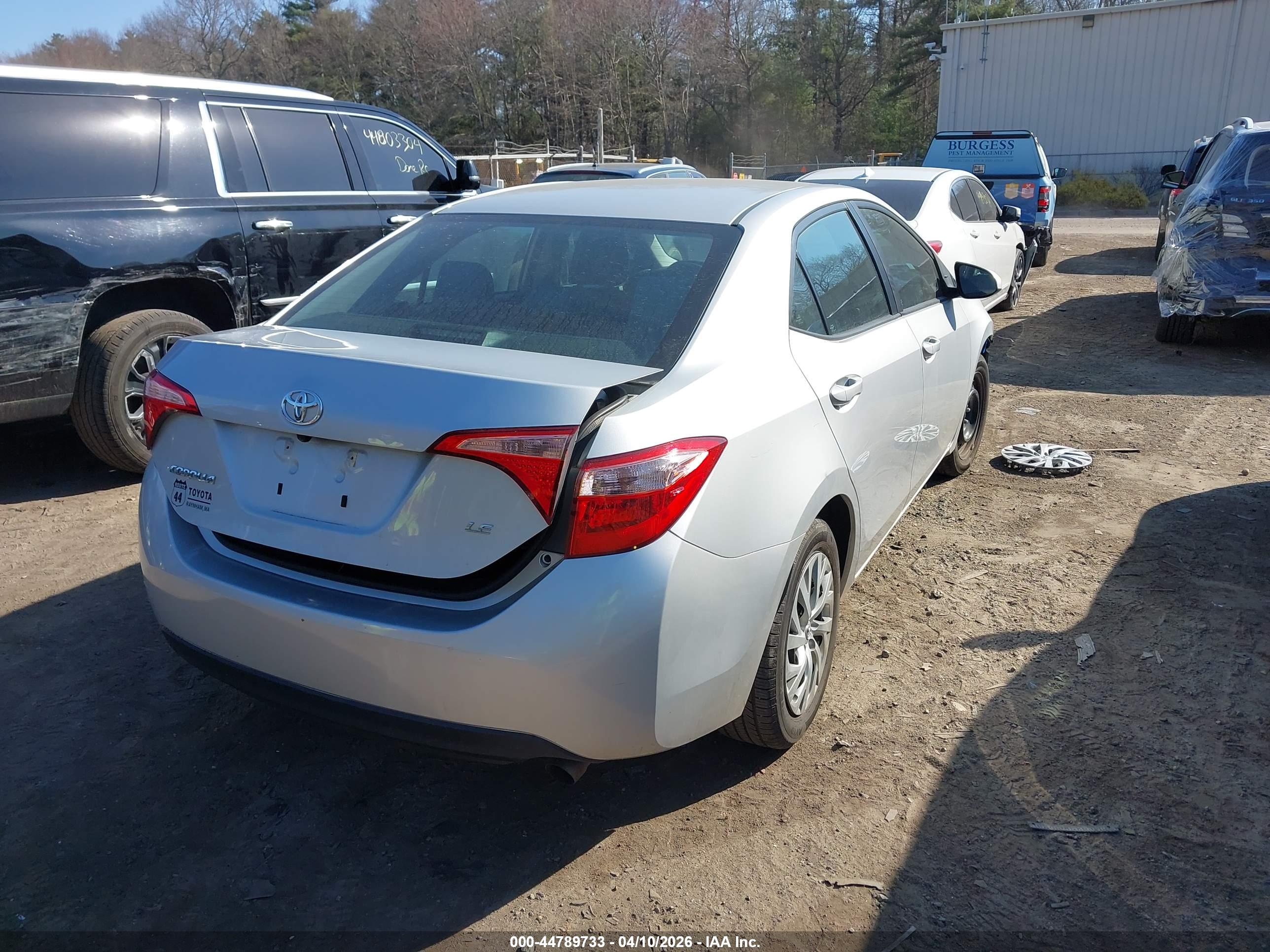 TOYOTA COROLLA image 4