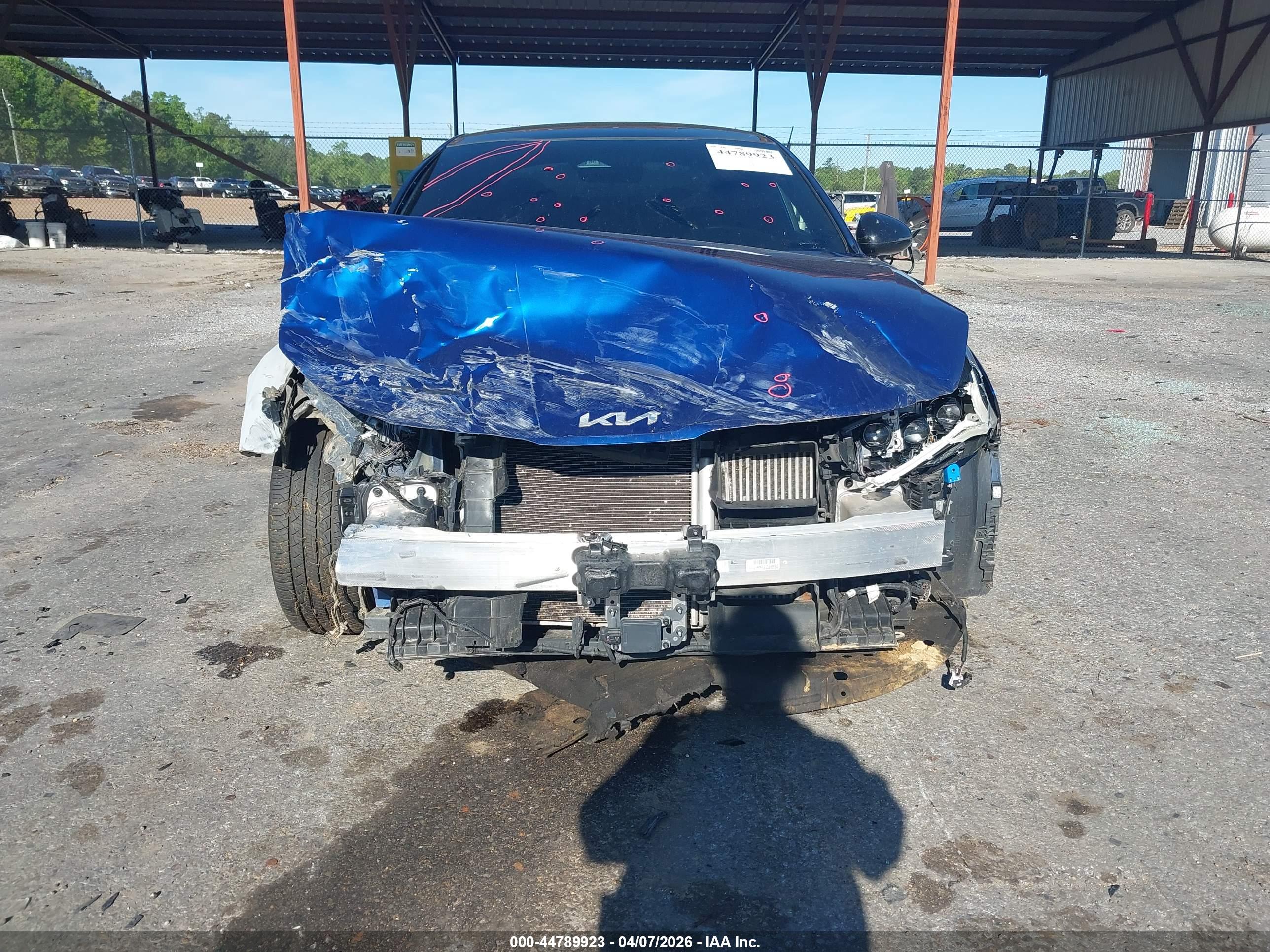 KIA K5 image 6