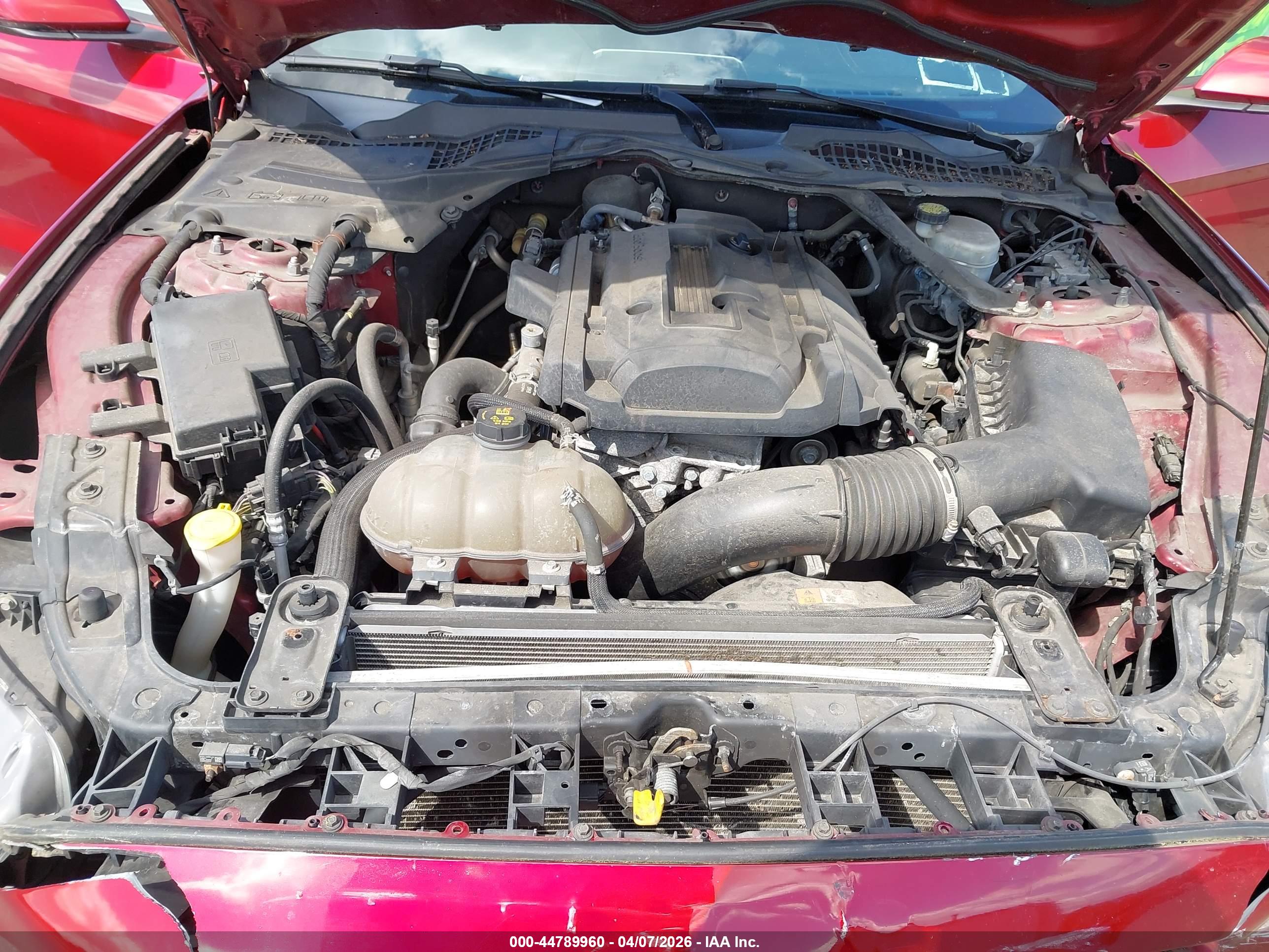 FORD MUSTANG image 10
