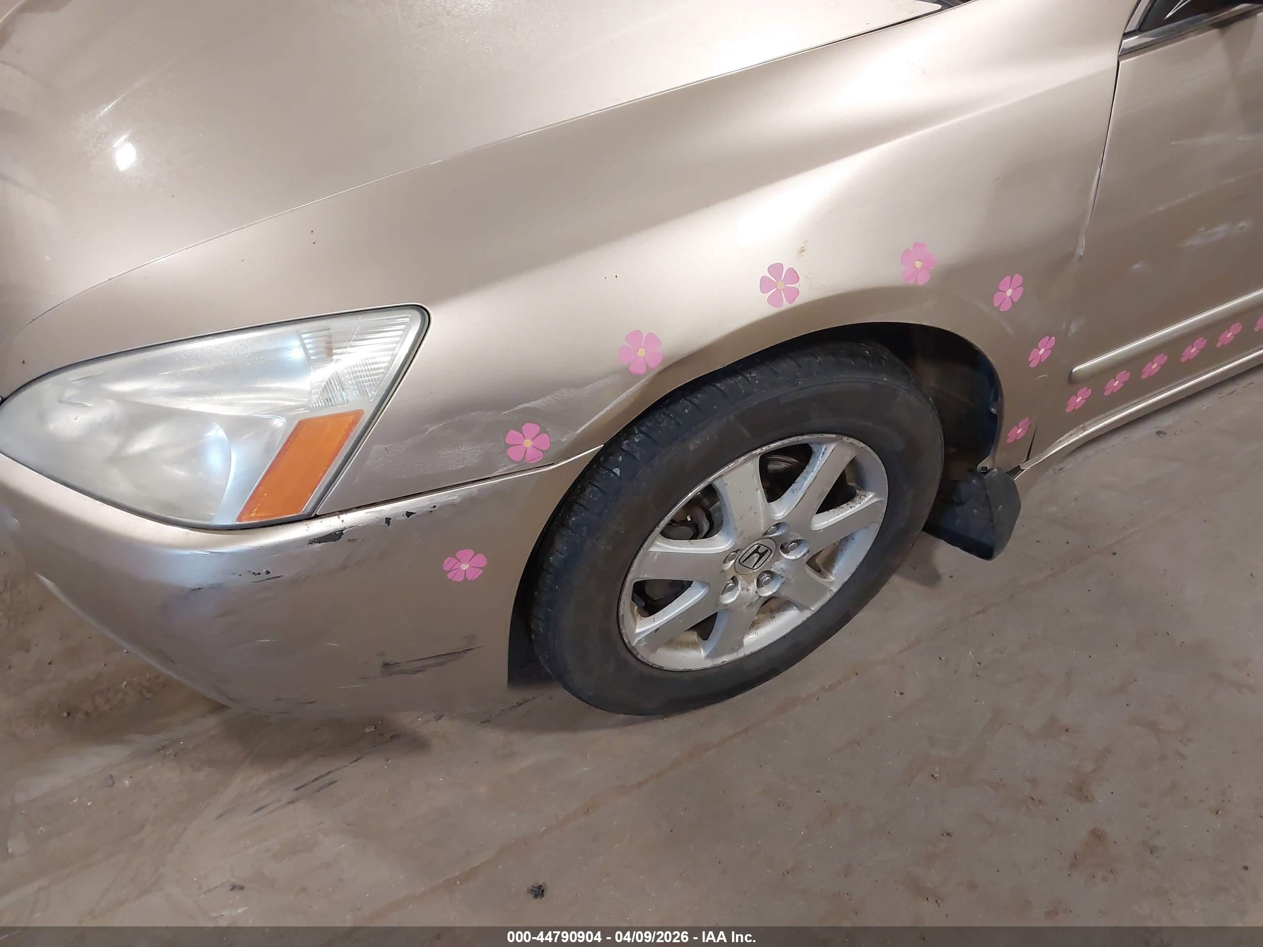 HONDA ACCORD image 6