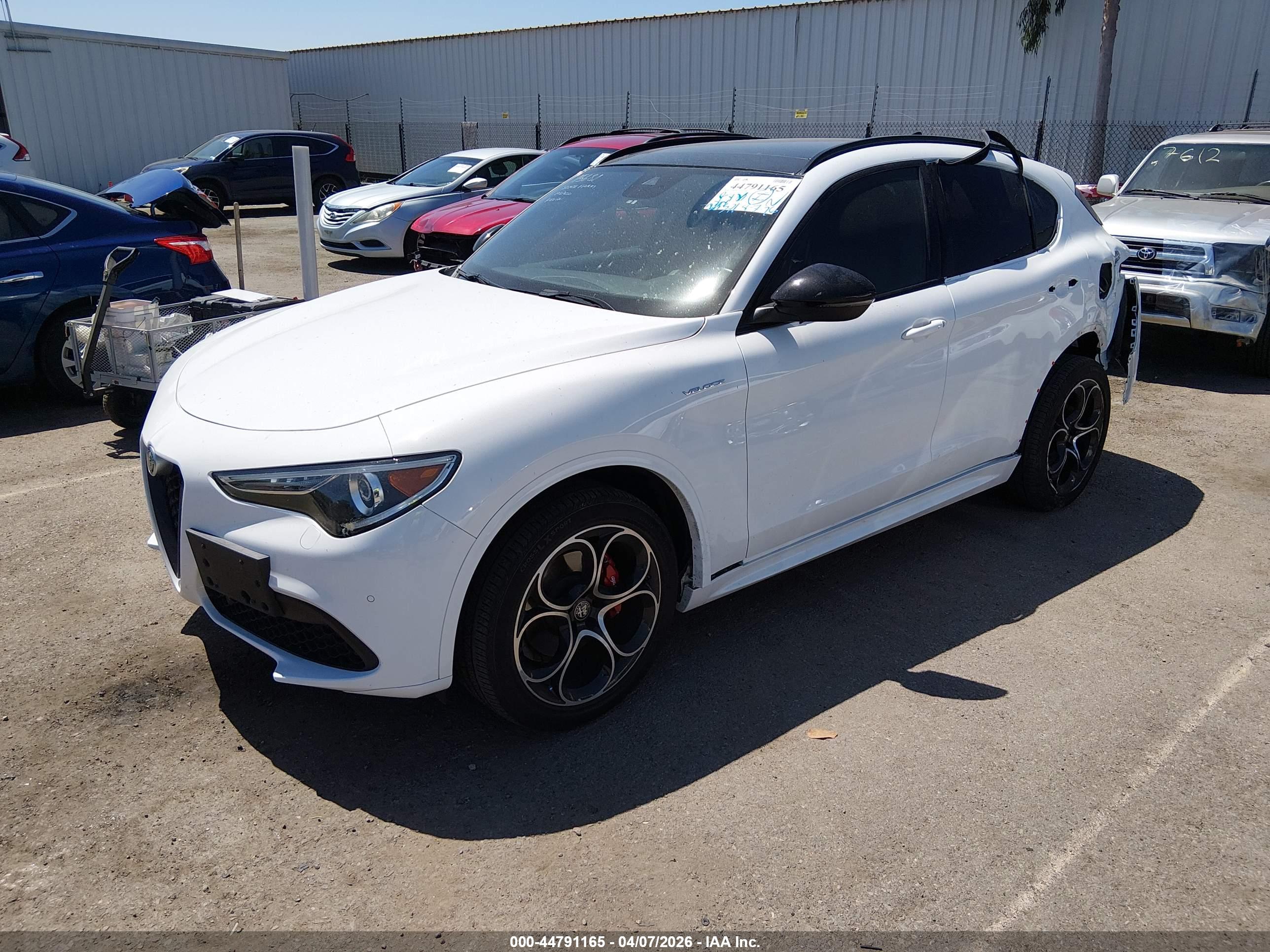 ALFA ROMEO image 2