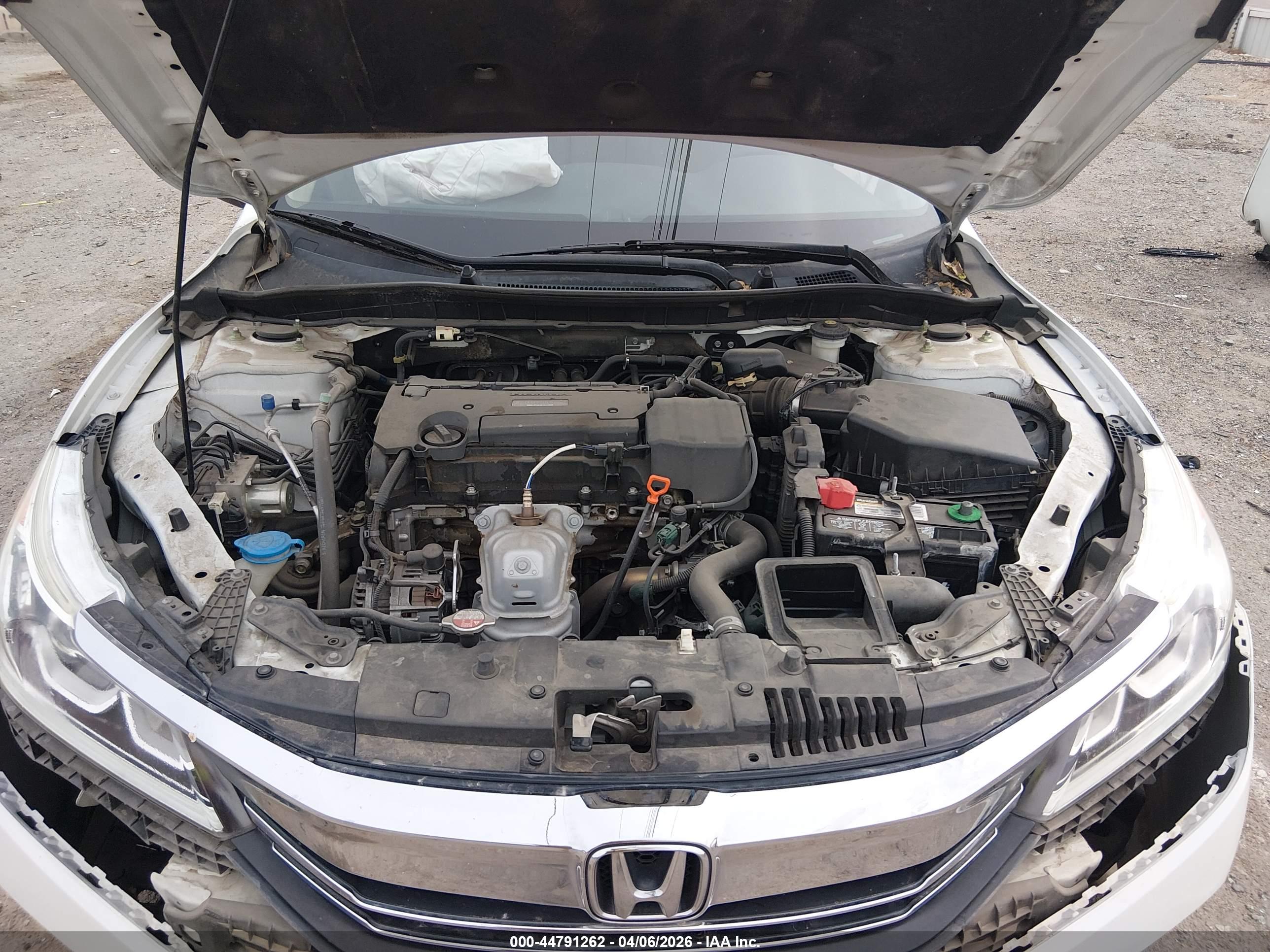 HONDA ACCORD image 10