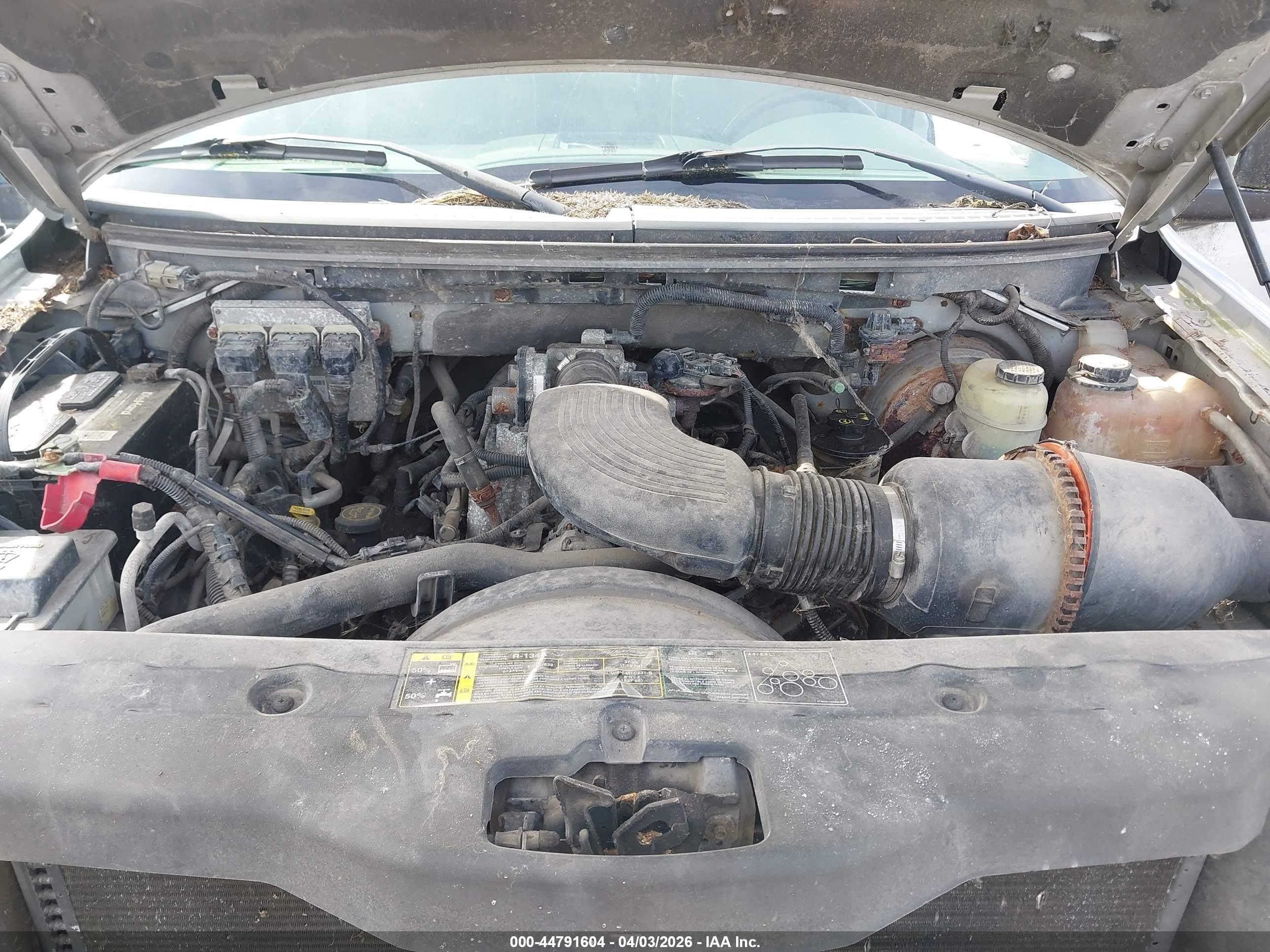 FORD F-150 image 10