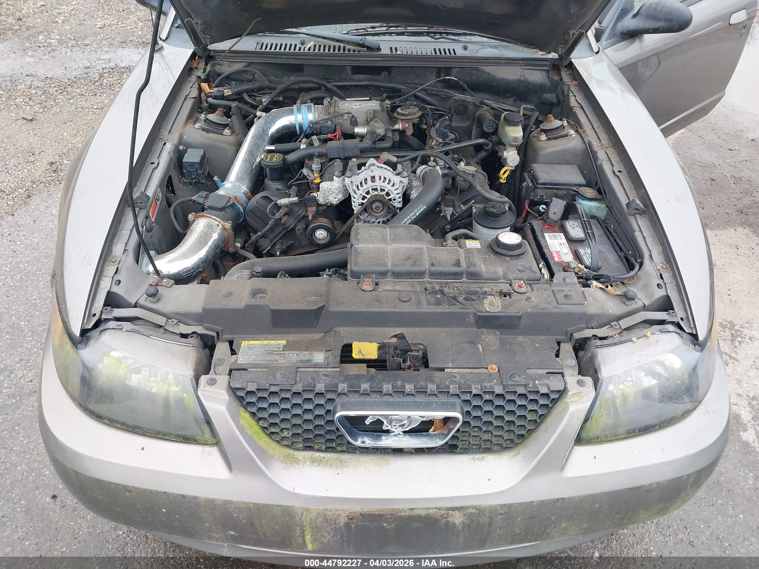 FORD MUSTANG image 10