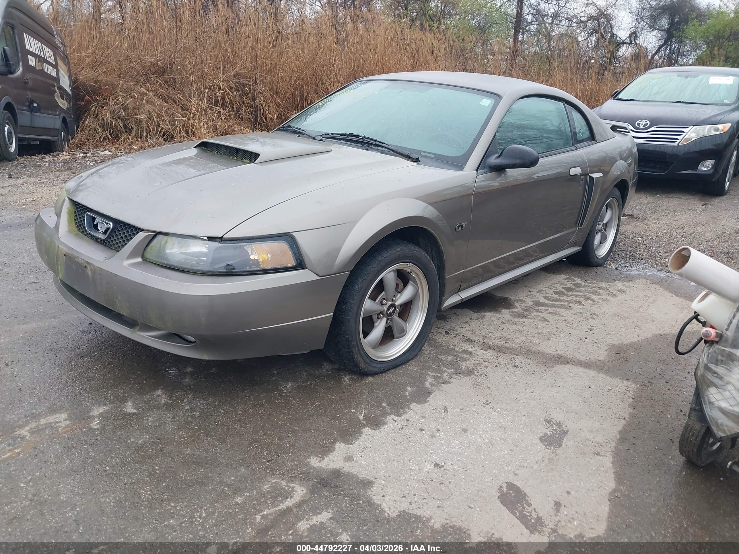 FORD MUSTANG image 2