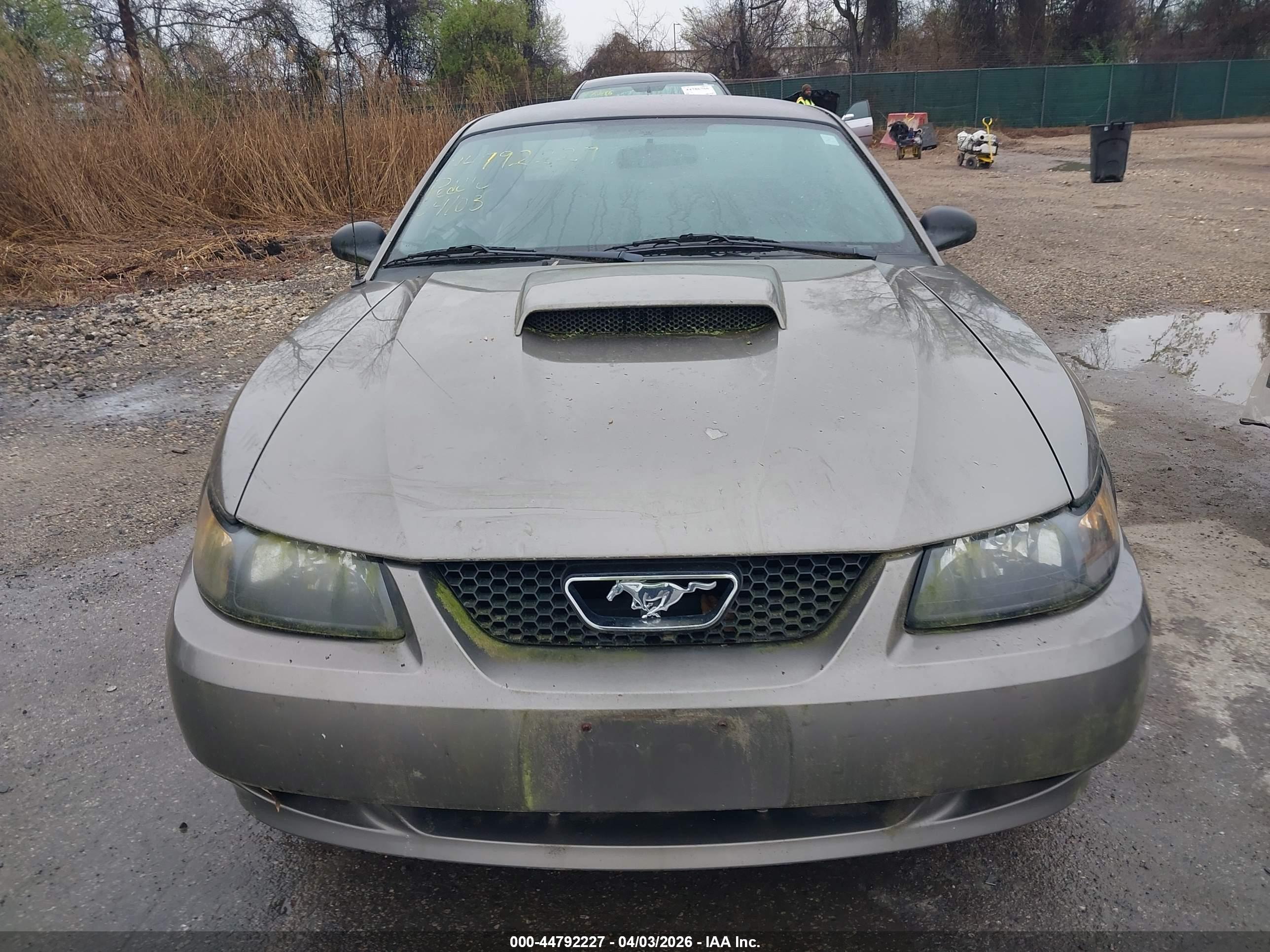 FORD MUSTANG image 6