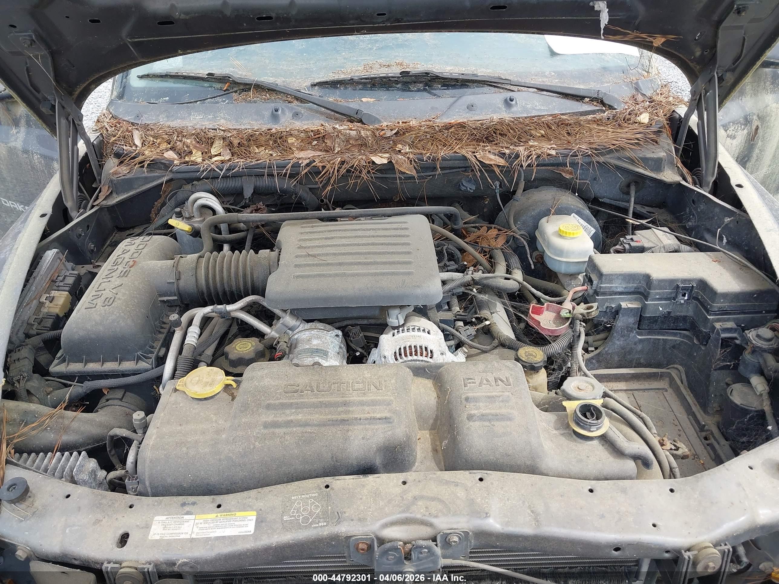 DODGE DAKOTA image 10