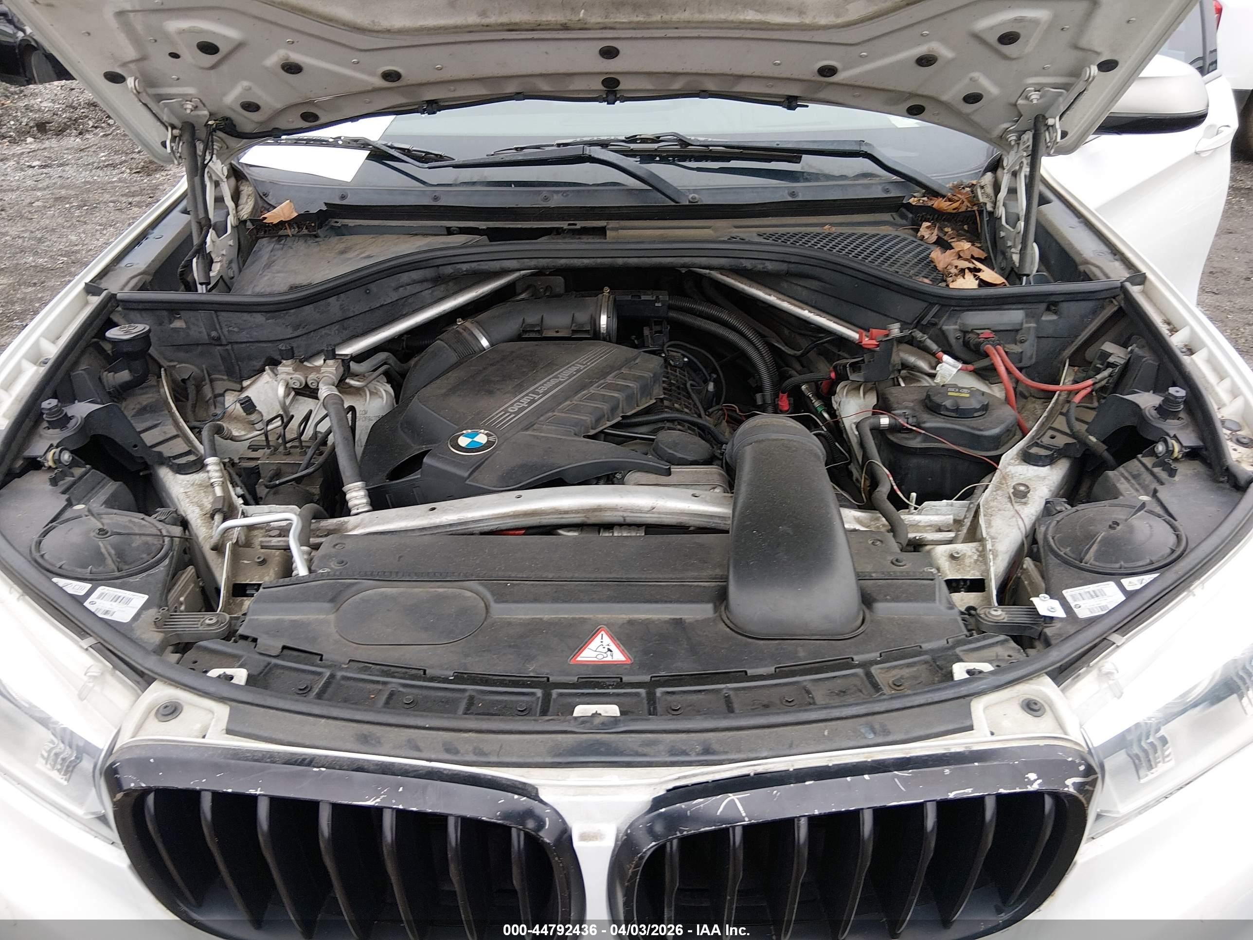 BMW X6 image 10