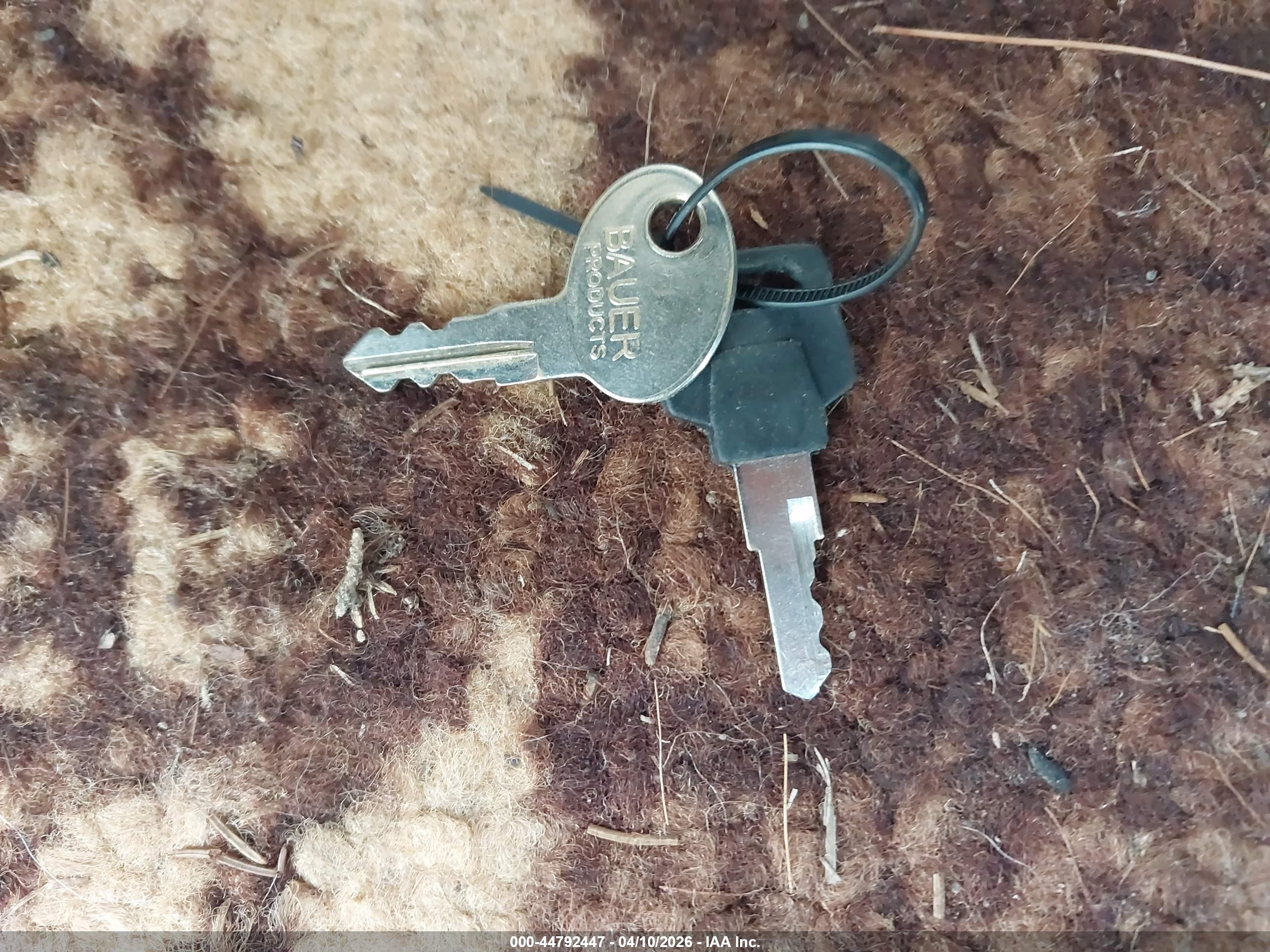 JAYCO JAY image 11